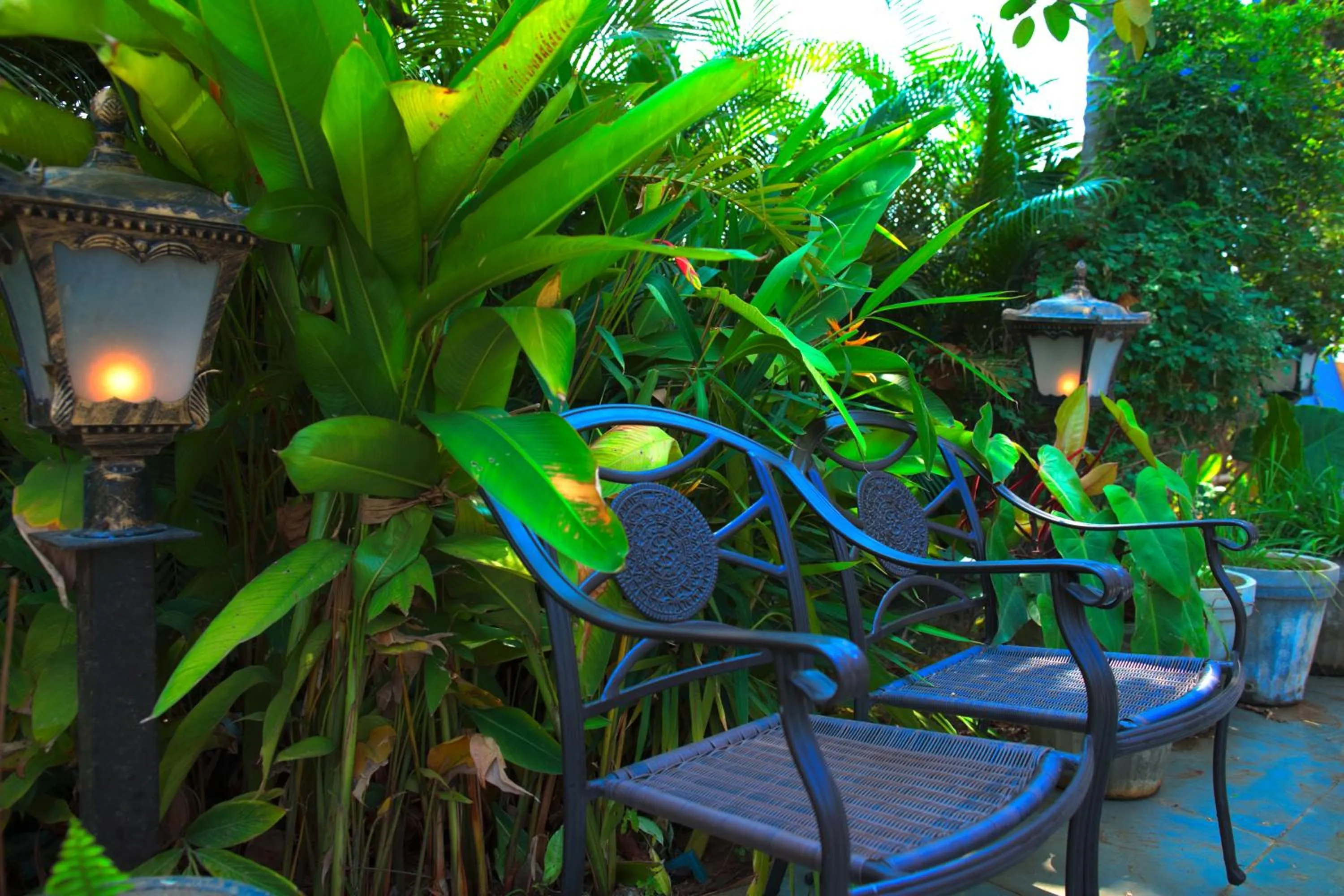 Garden in Hotel Villa Highnest - Oragadam -Sriperumbudur