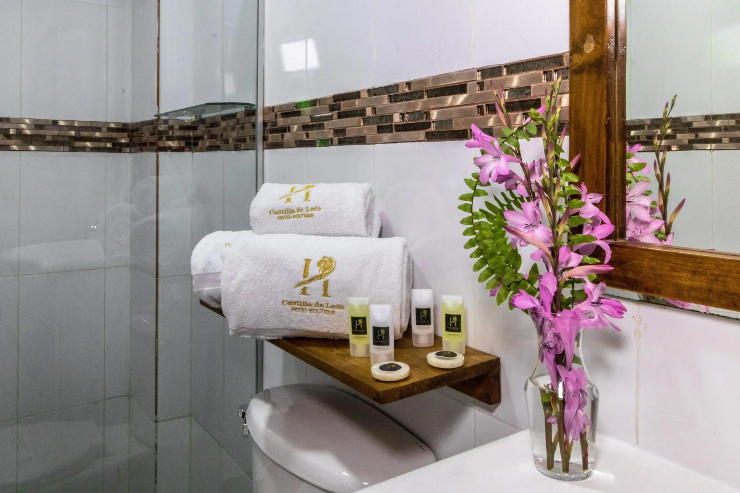 Bathroom, Bed in Hotel Boutique Castilla de Leòn