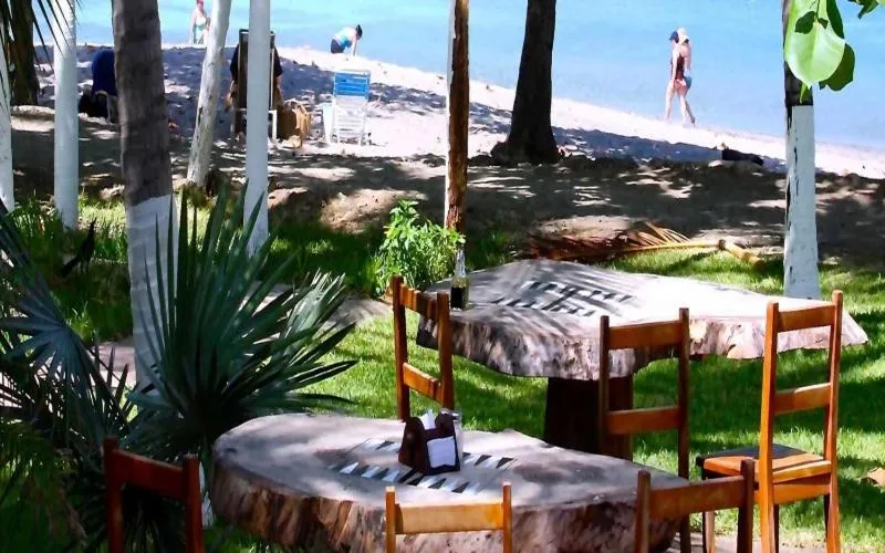 Hotel La Gaviota Tropical