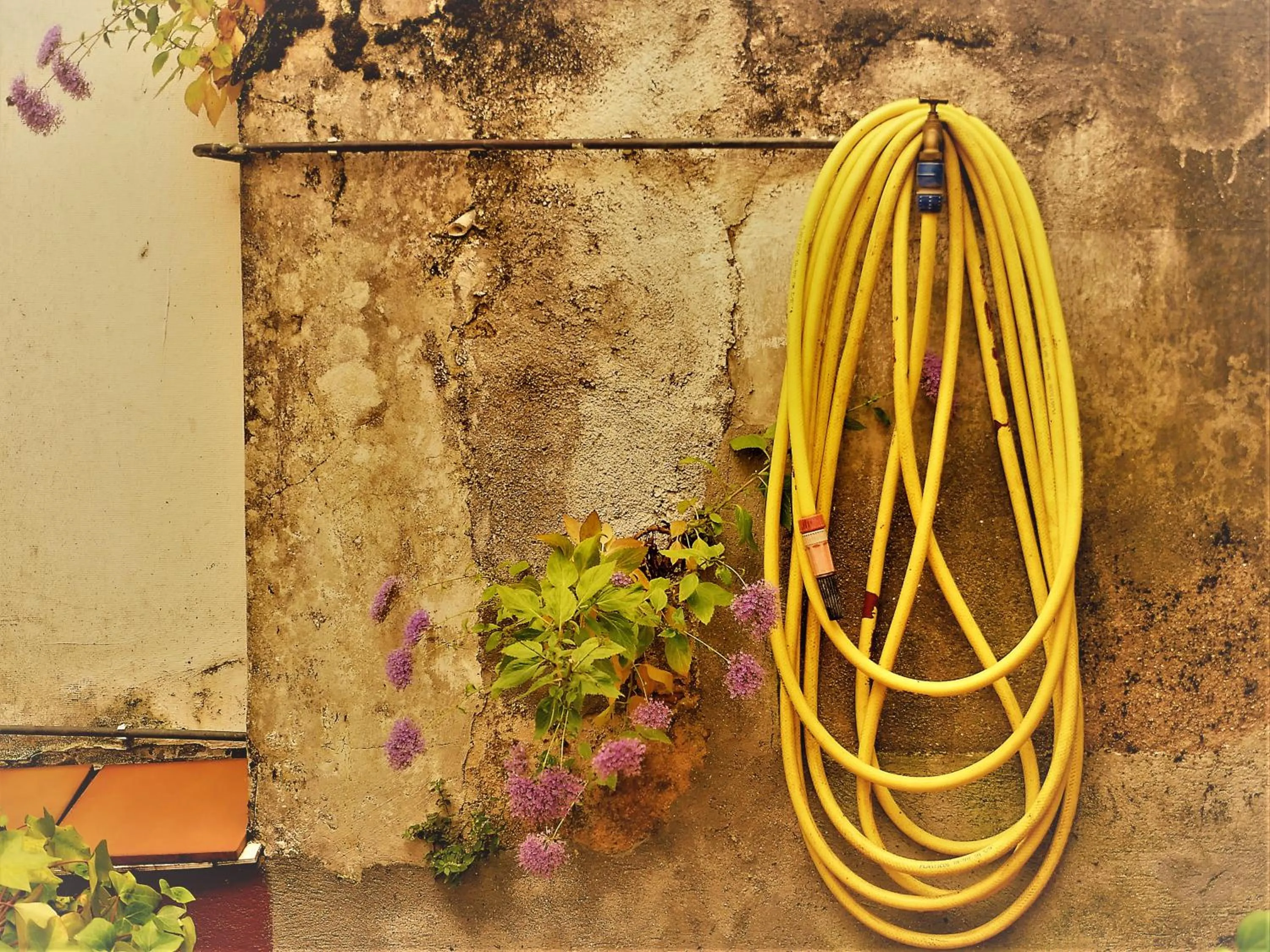 Pensión Casa Douro