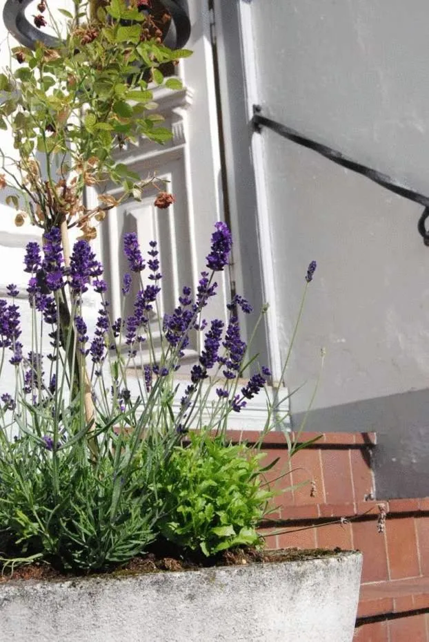 Facade/entrance in Hotell Villa Rönne