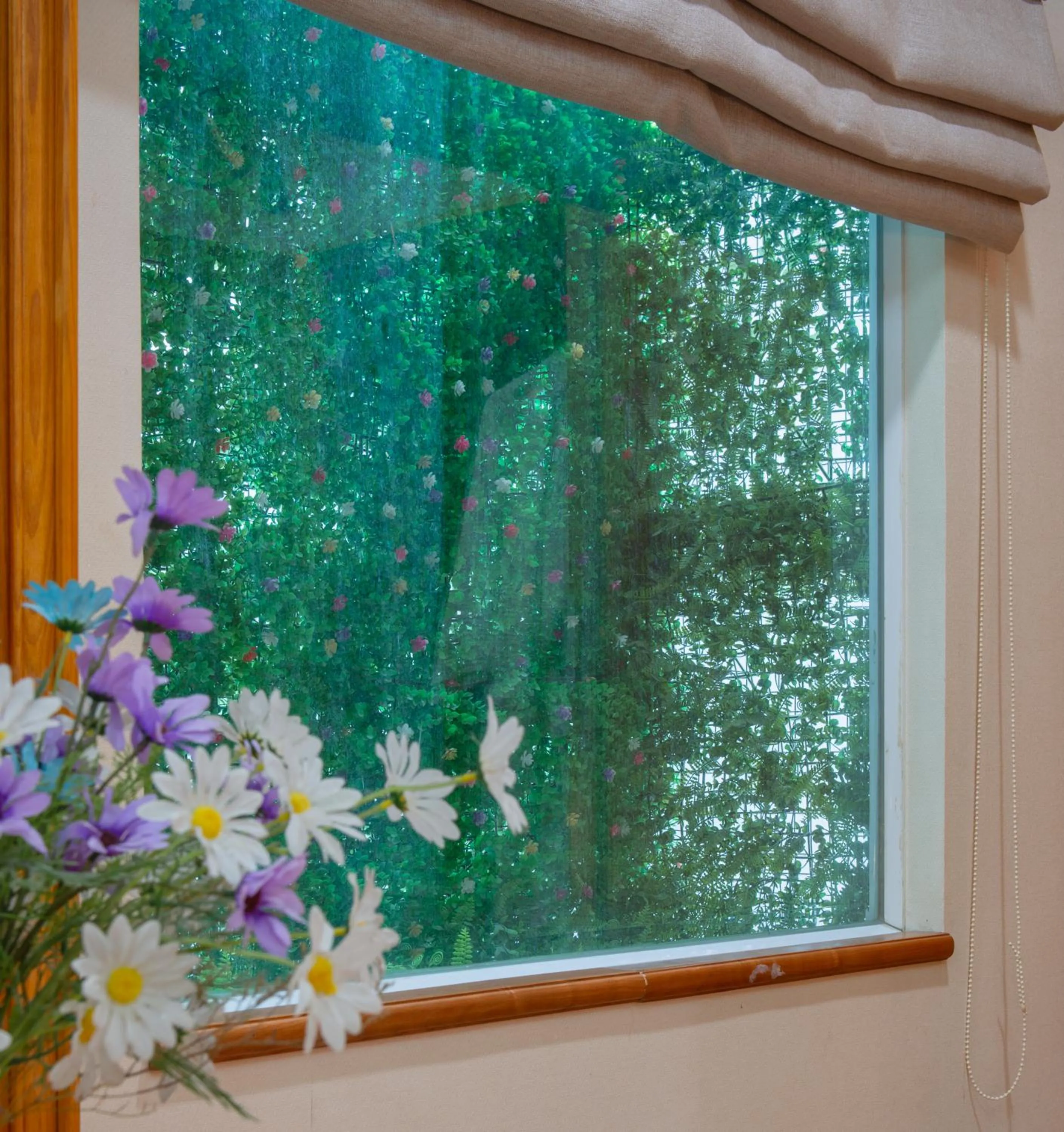 View (from property/room) in Anh Dao Hotel