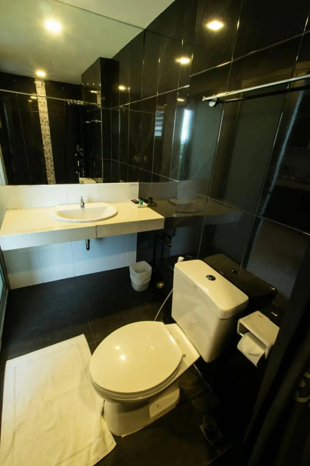 Bathroom in PM Residence