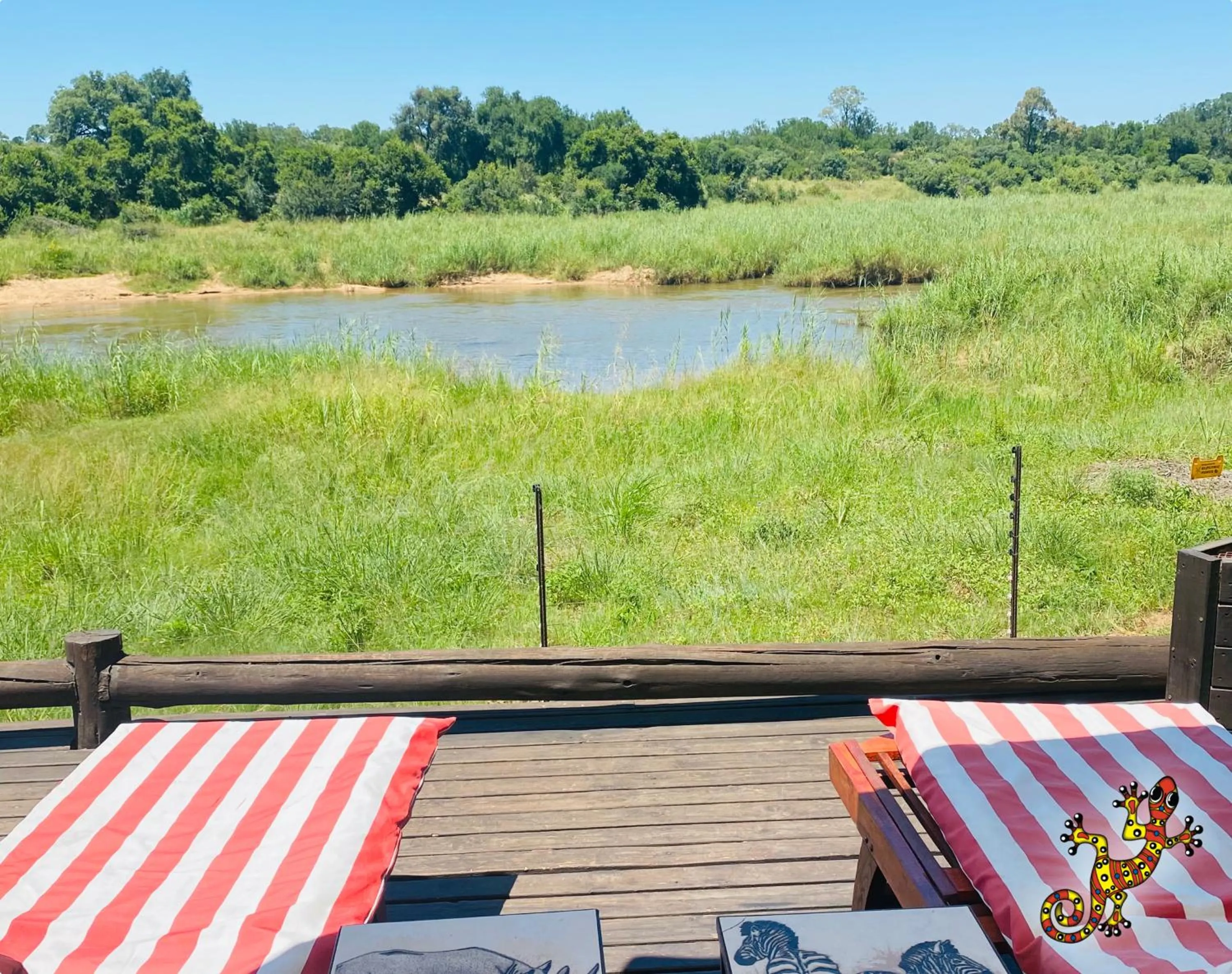 View (from property/room) in Sabie River Bush Lodge