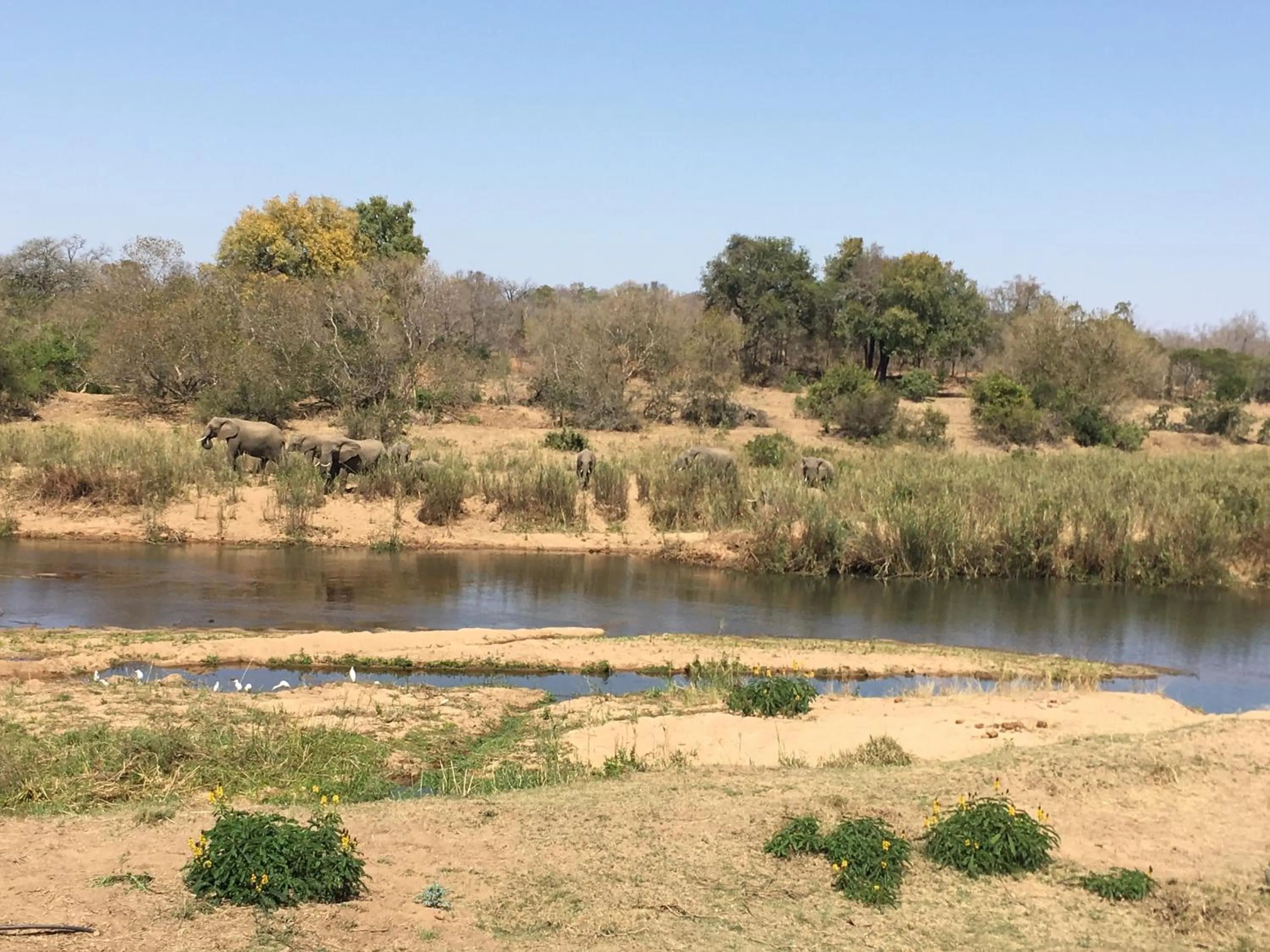 Balcony/Terrace in Sabie River Bush Lodge