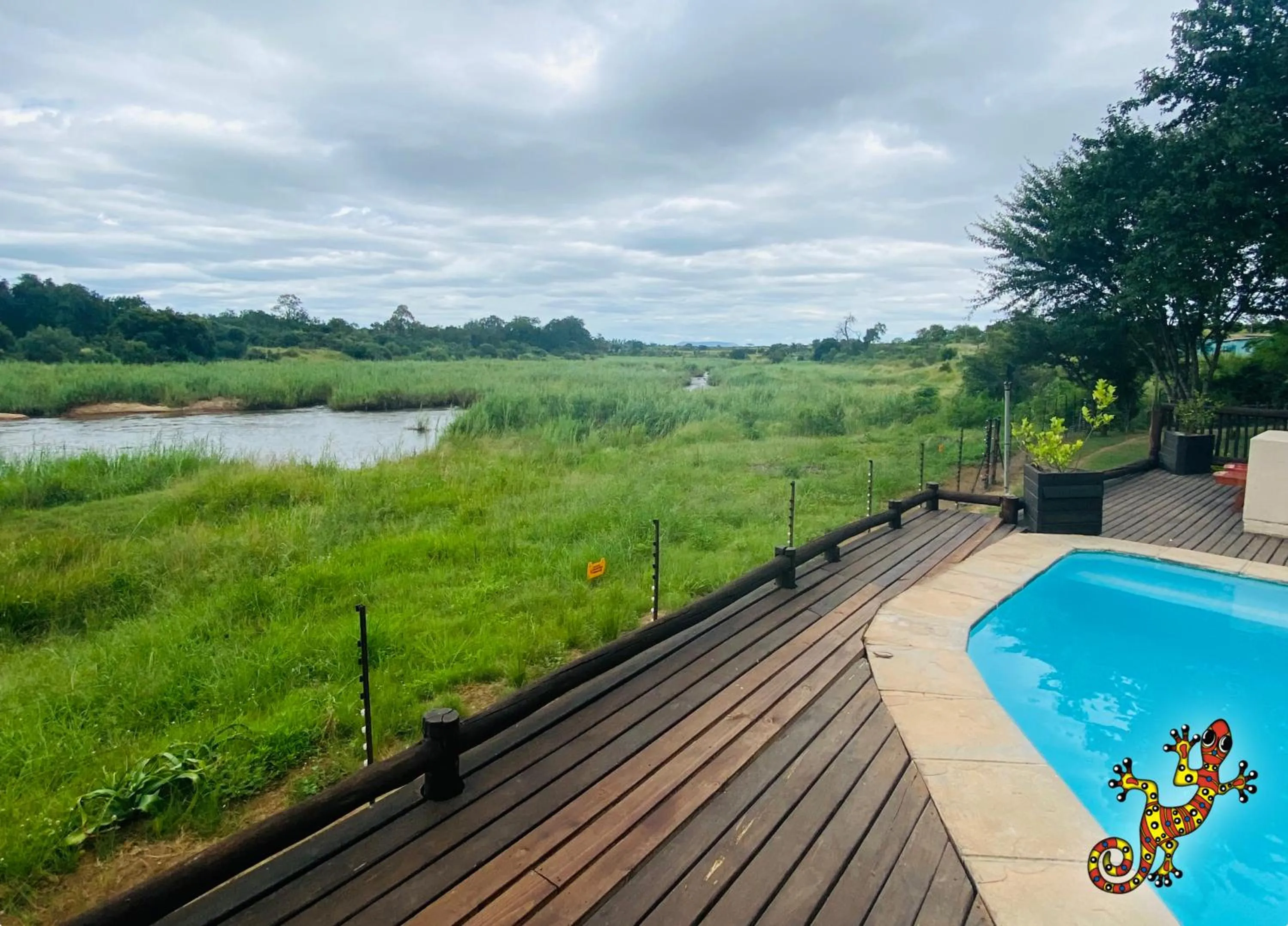 View (from property/room) in Sabie River Bush Lodge