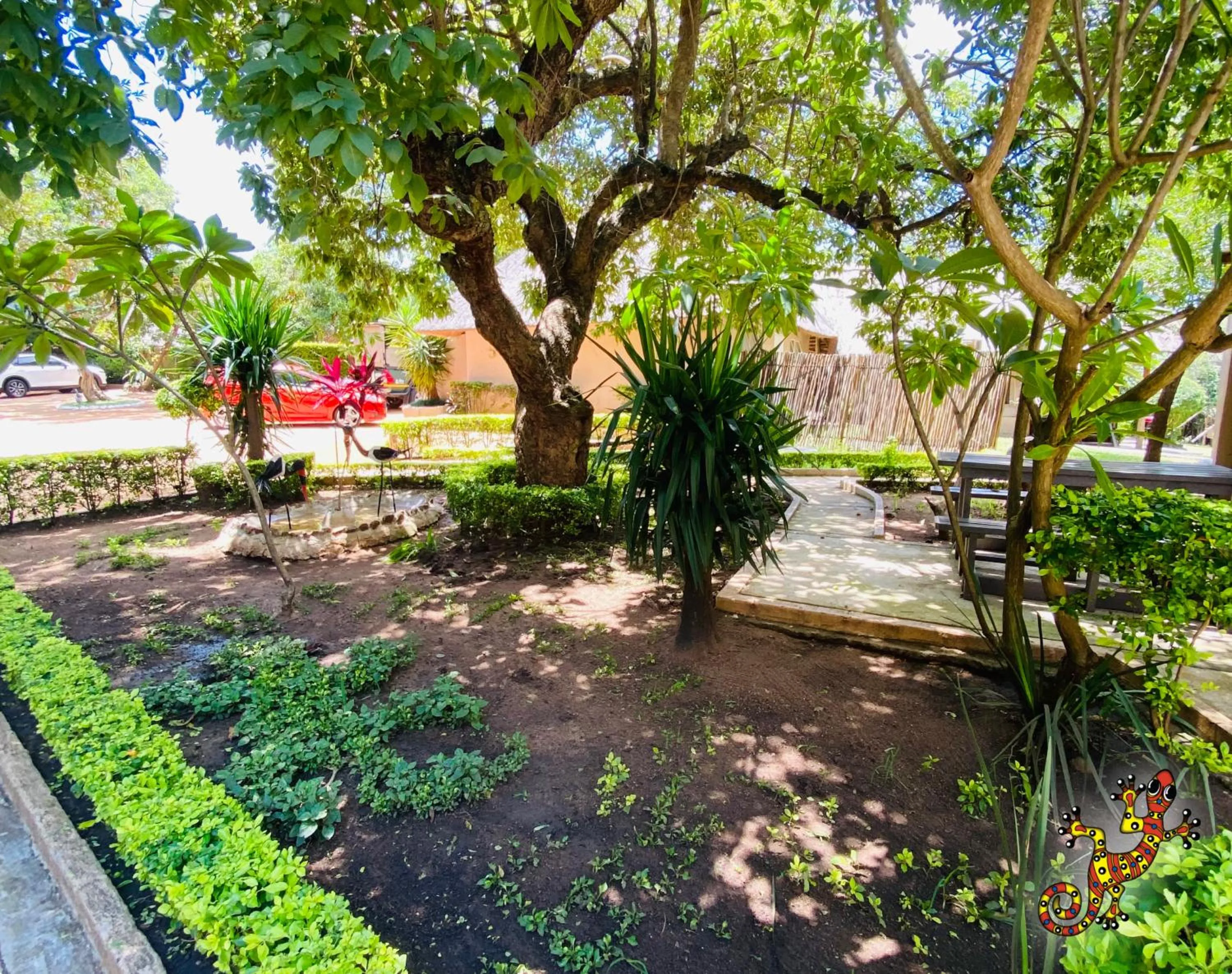 Garden in Sabie River Bush Lodge