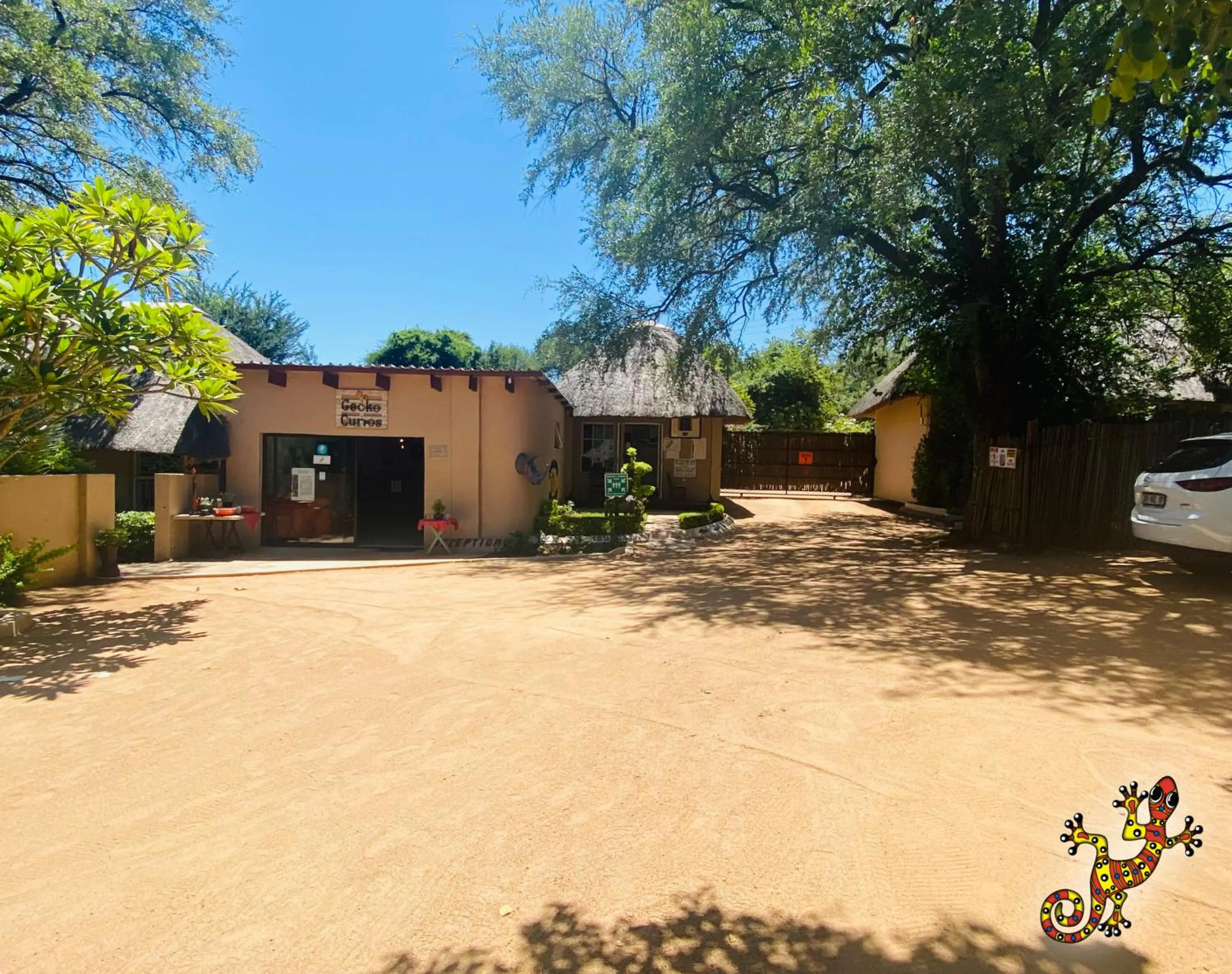 Lobby or reception in Sabie River Bush Lodge
