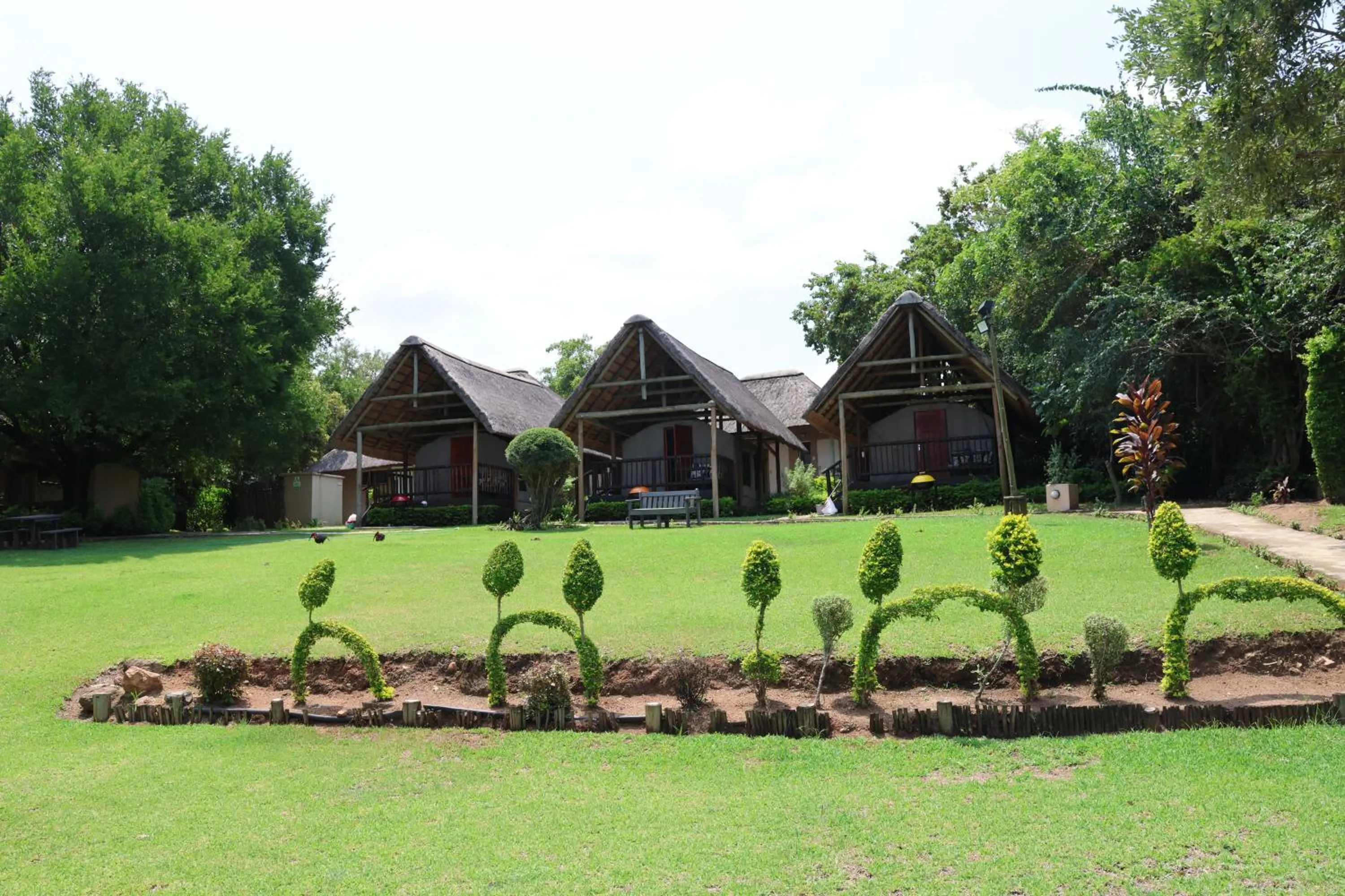 Garden view in Sabie River Bush Lodge