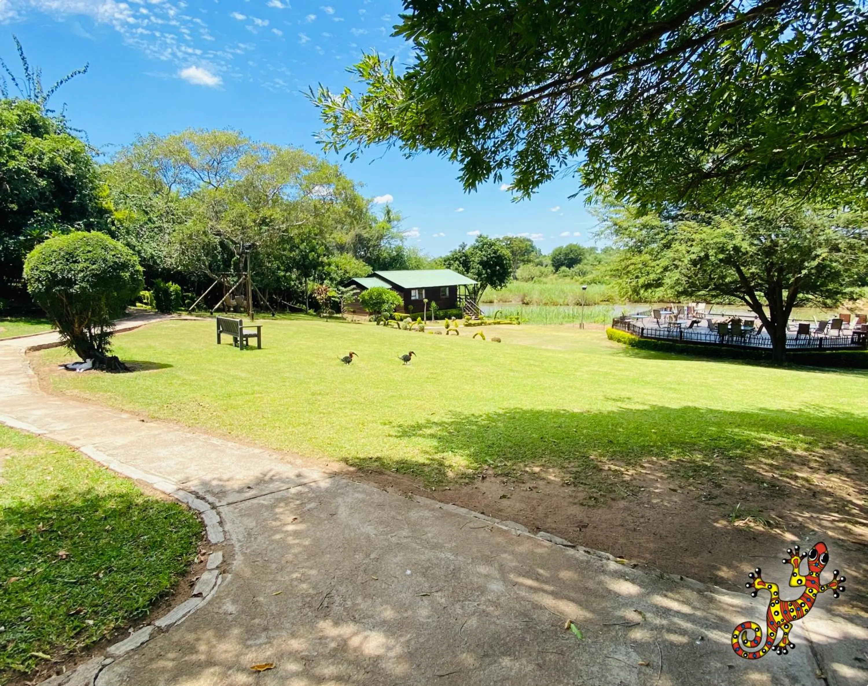 Garden view in Sabie River Bush Lodge
