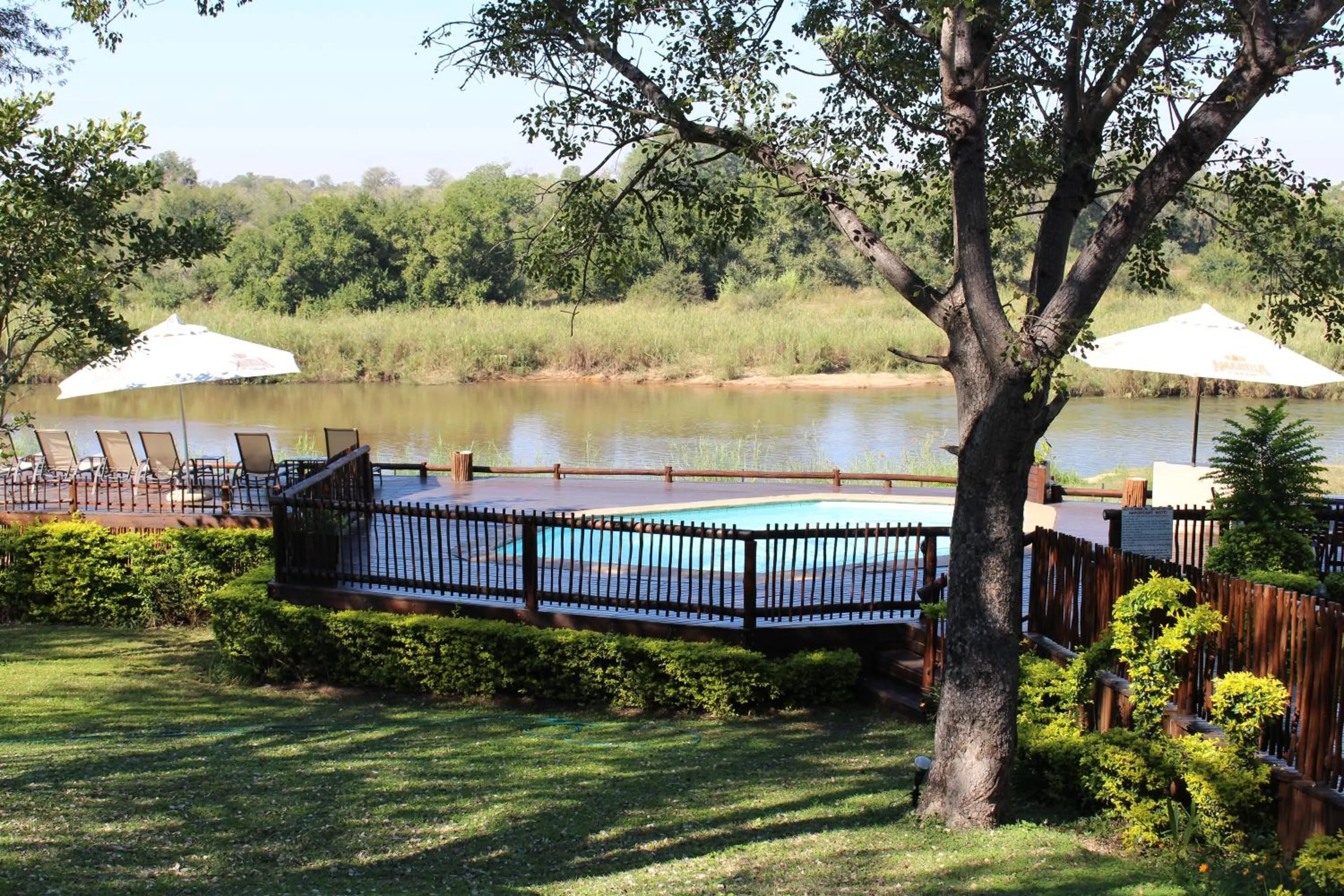 Swimming pool in Sabie River Bush Lodge