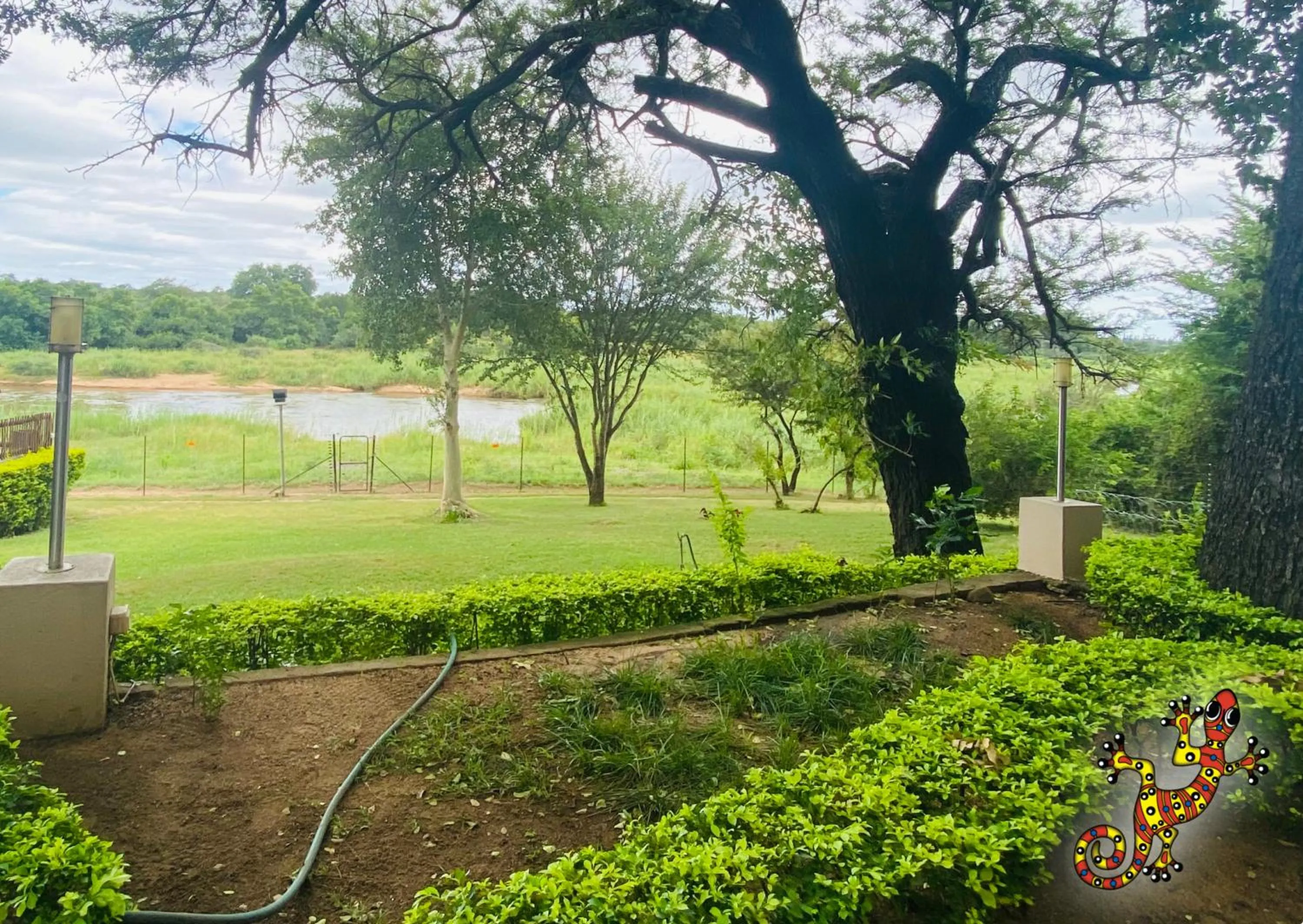 View (from property/room) in Sabie River Bush Lodge