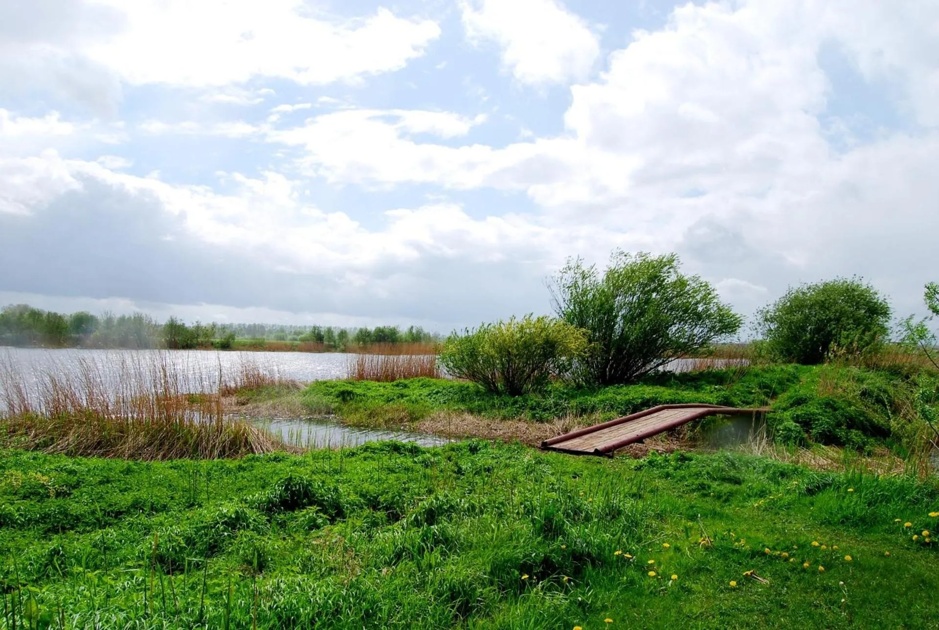 View (from property/room) in Riverside Motel Jelgava