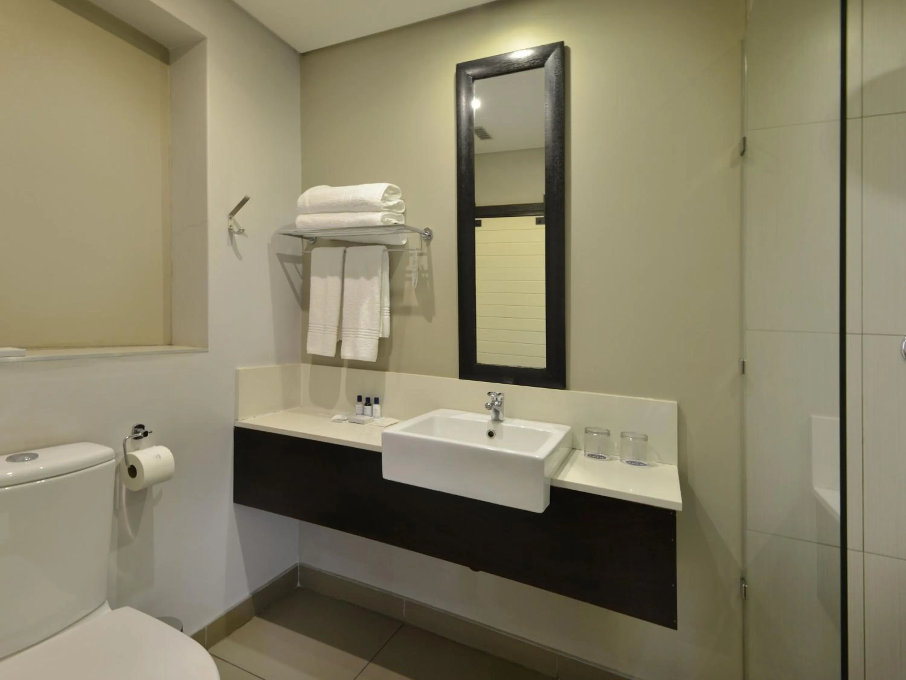 Shower in ANEW Hotel Witbank Emalahleni