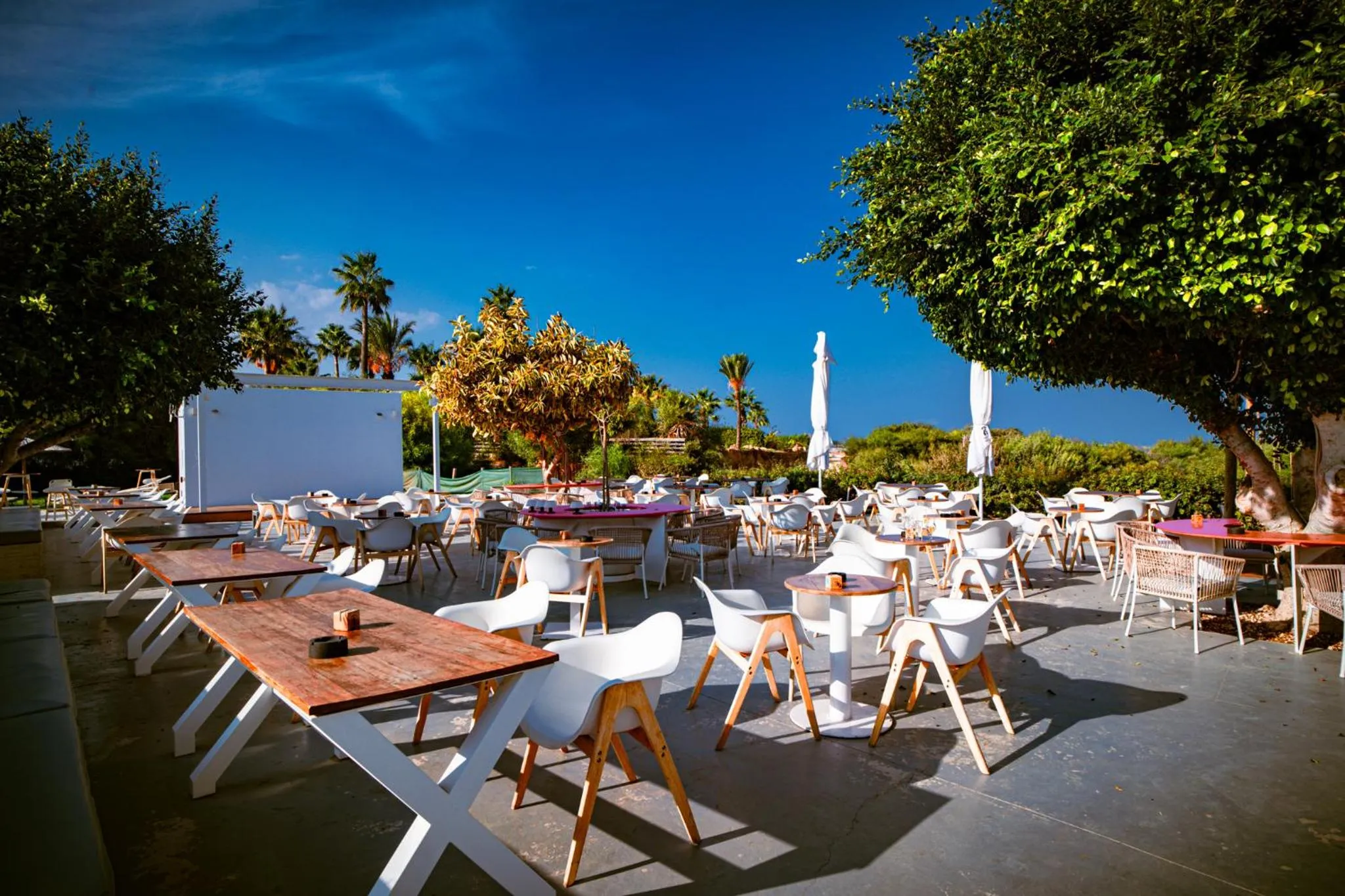 Lounge or bar in Malama Beach Holiday Village