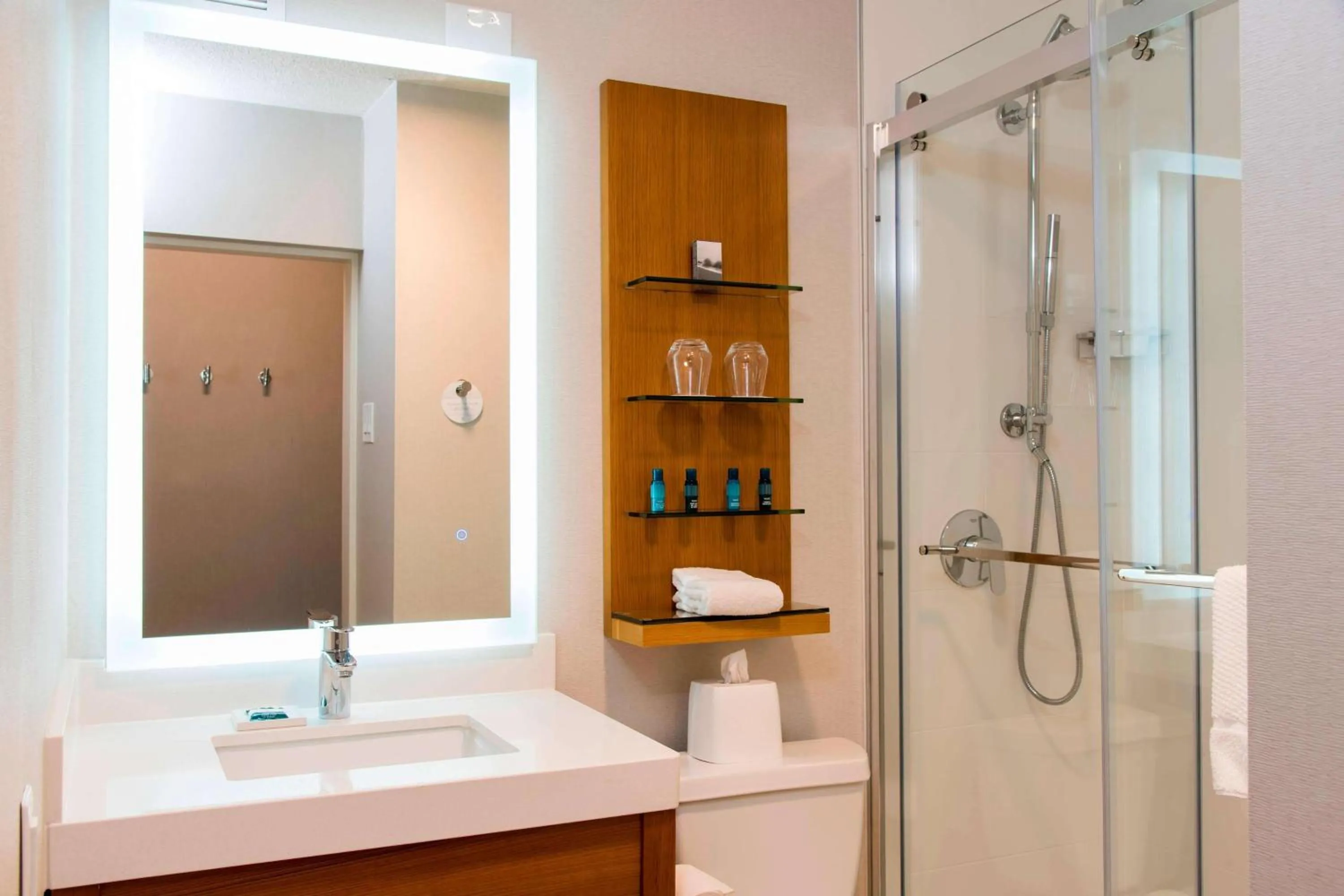 Bathroom in Delta Hotels by Marriott Grand Rapids Airport