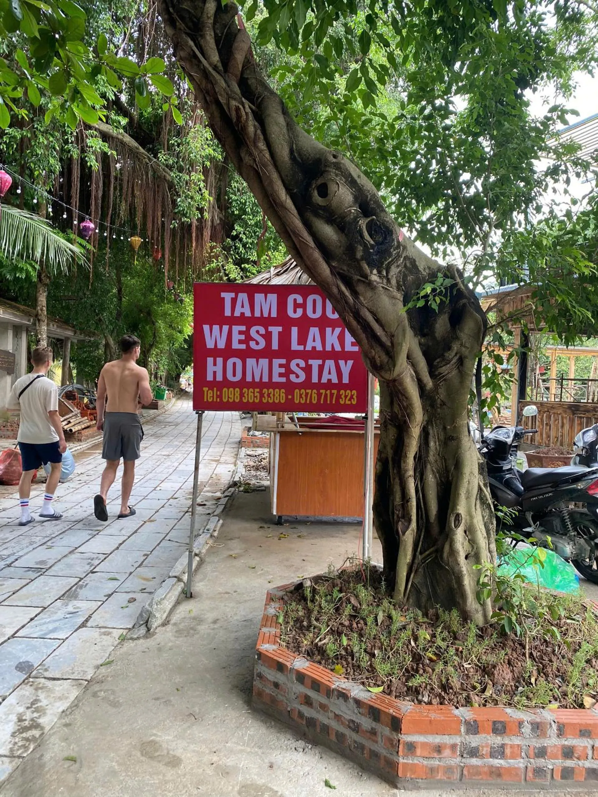Street view in Tam Coc Westlake Homestay