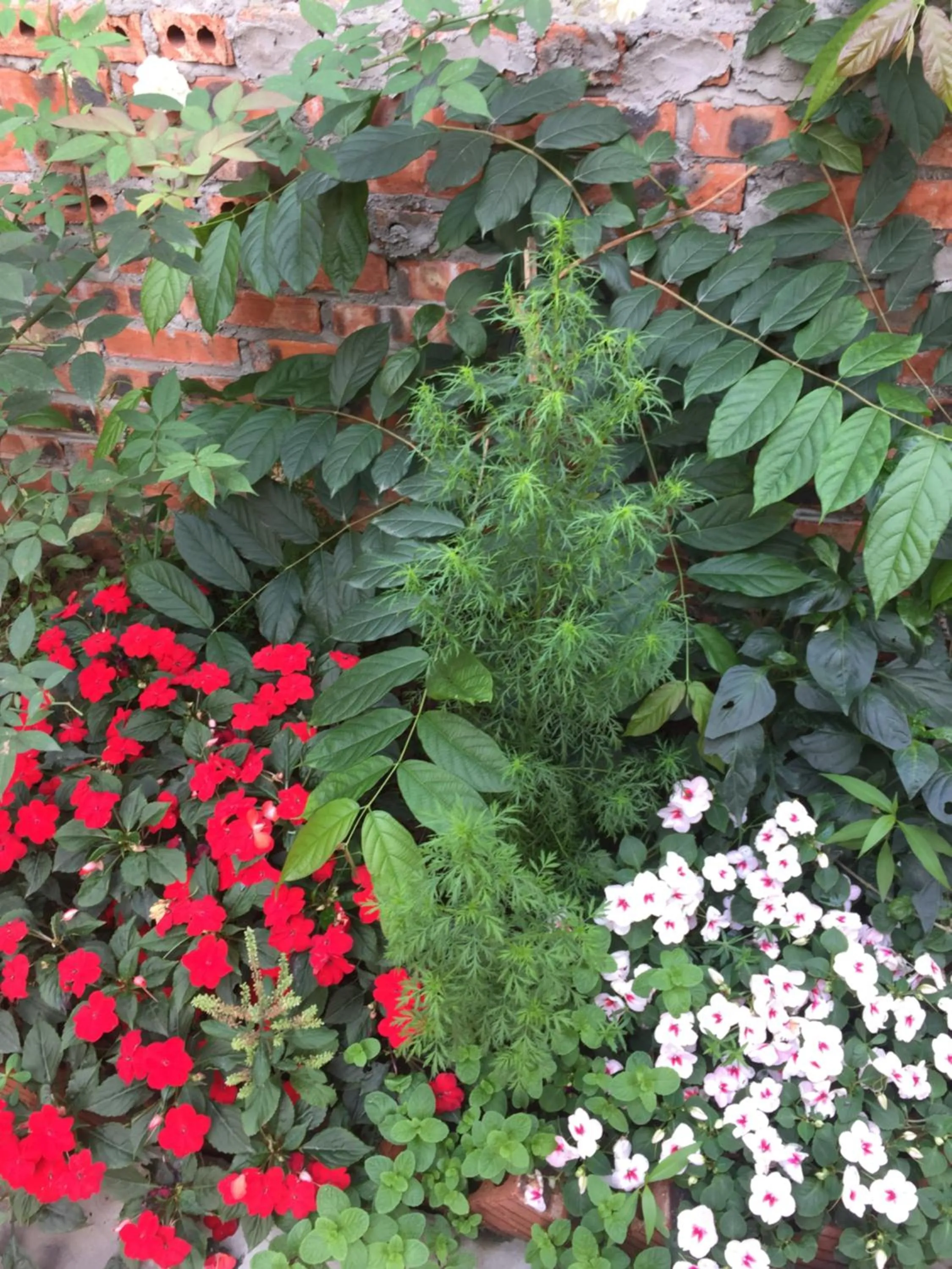 Other in Tam Coc Westlake Homestay