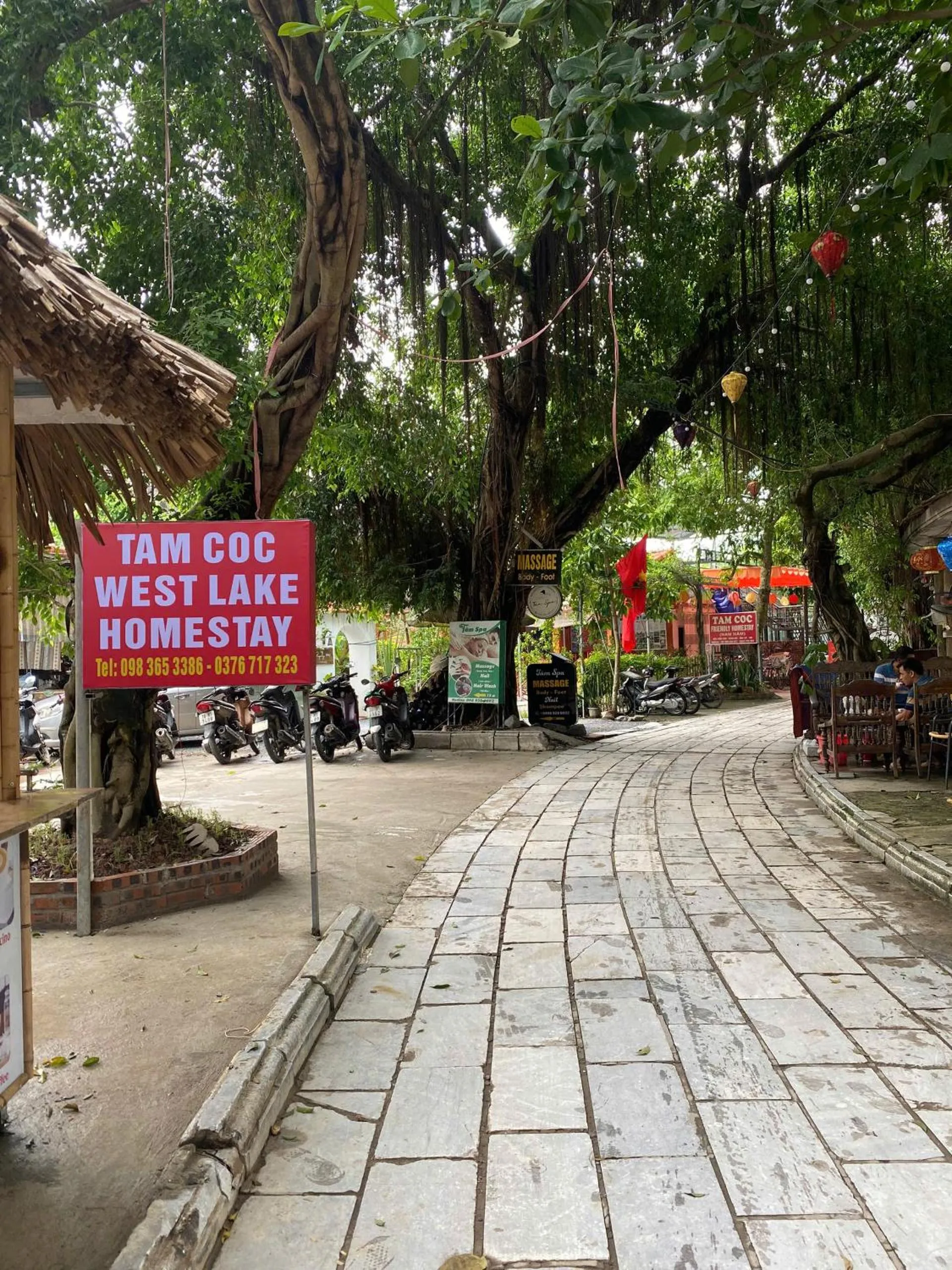 Quiet street view in Tam Coc Westlake Homestay