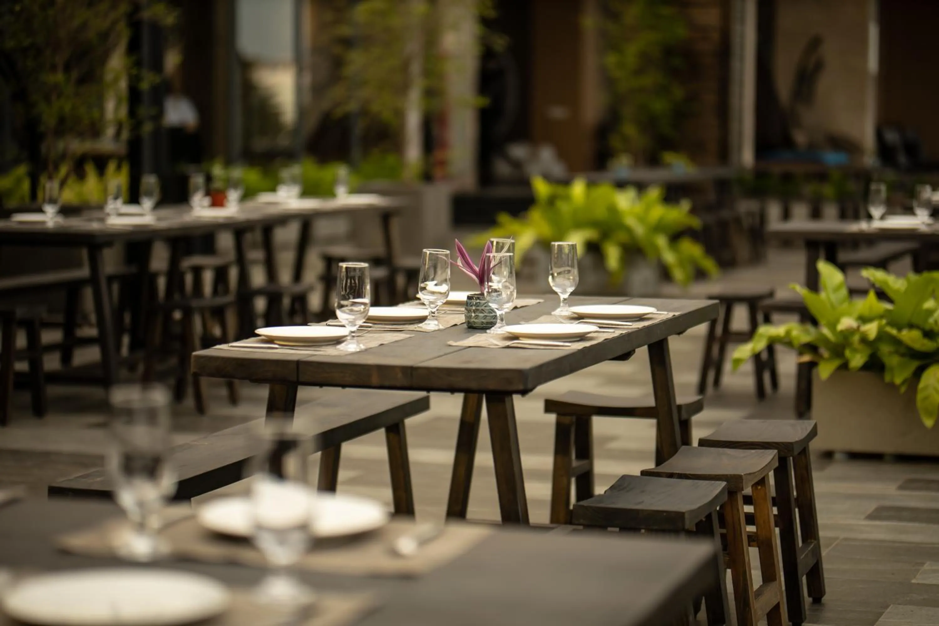 Restaurant/places to eat in Thanh Mai Hotel