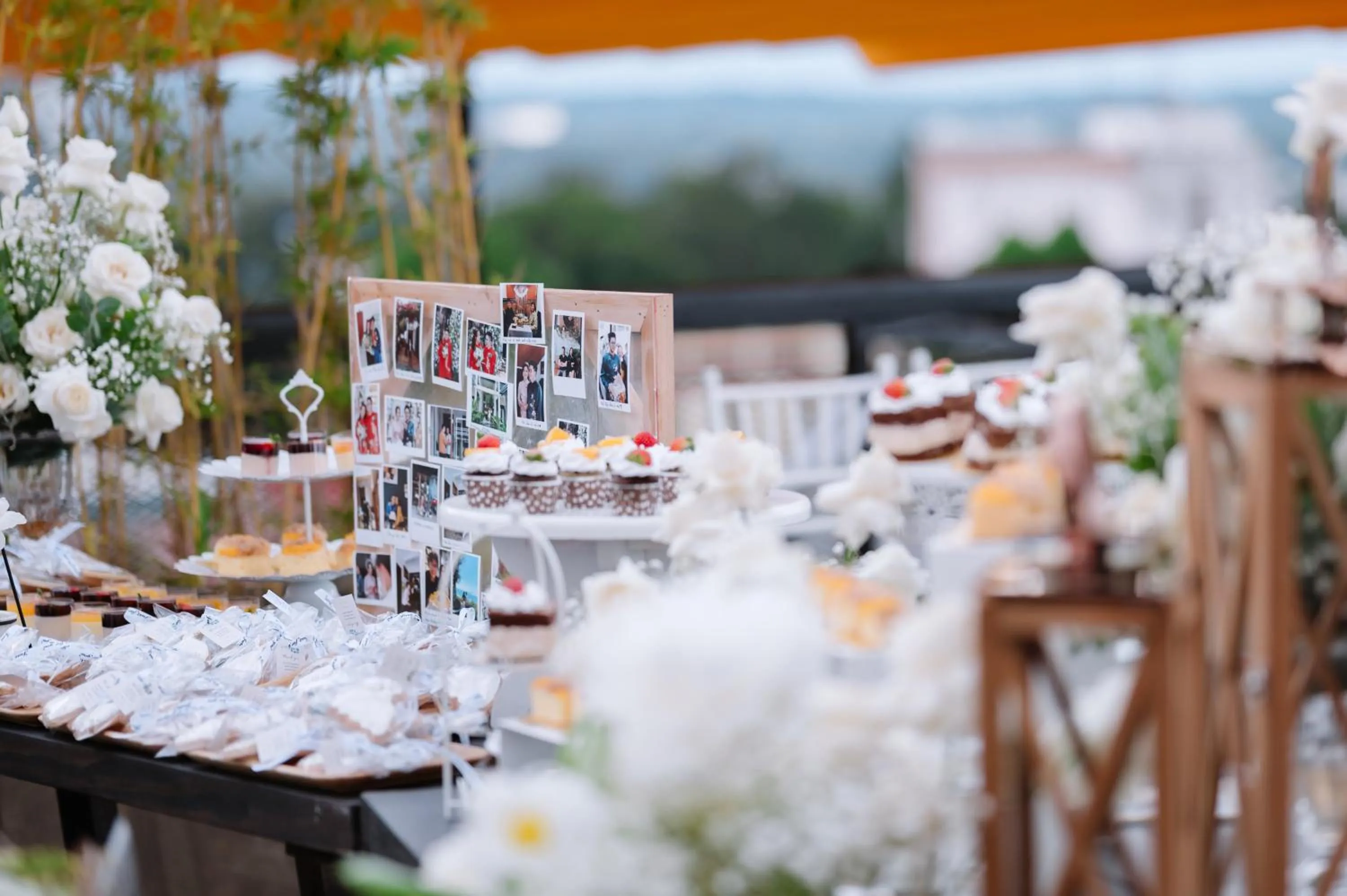 Day in Thanh Mai Hotel