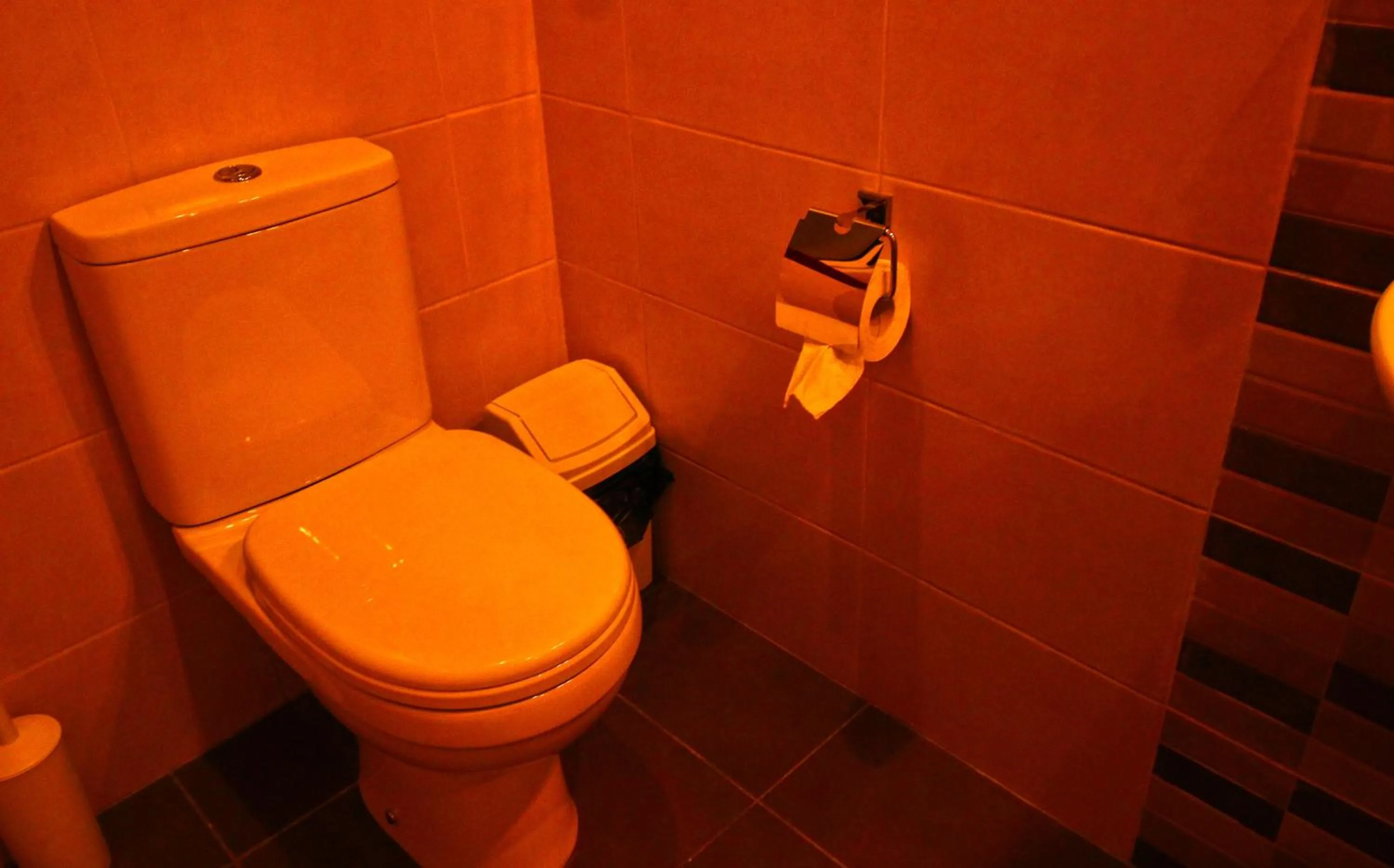 Toilet in Twenty Antika