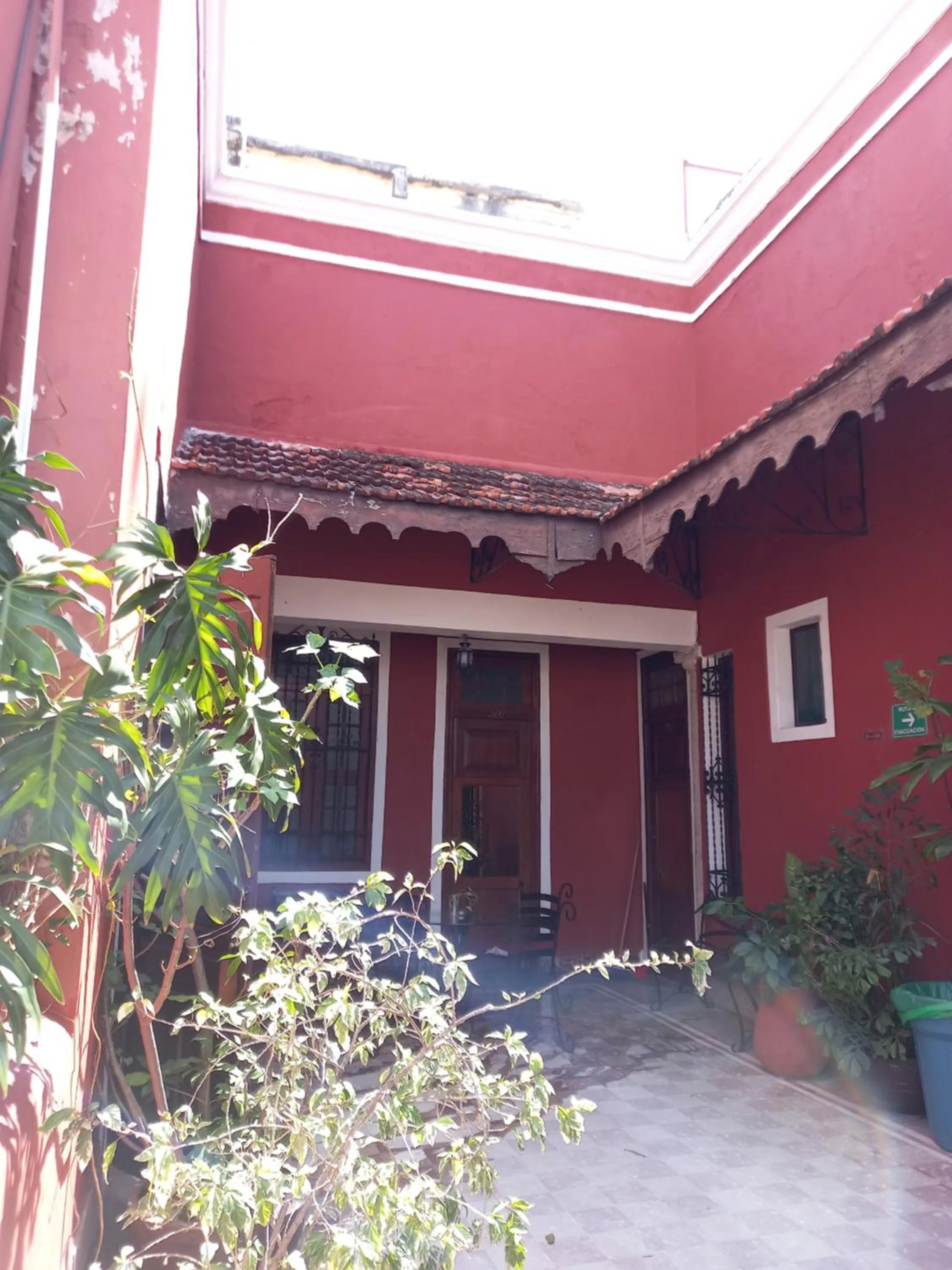 Balcony/Terrace in Hotel Reforma