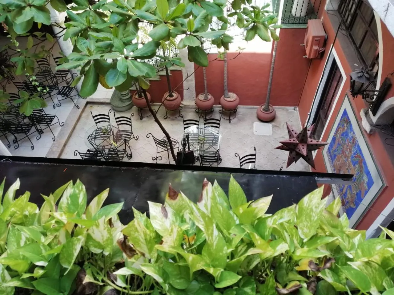 Garden view in Hotel Reforma