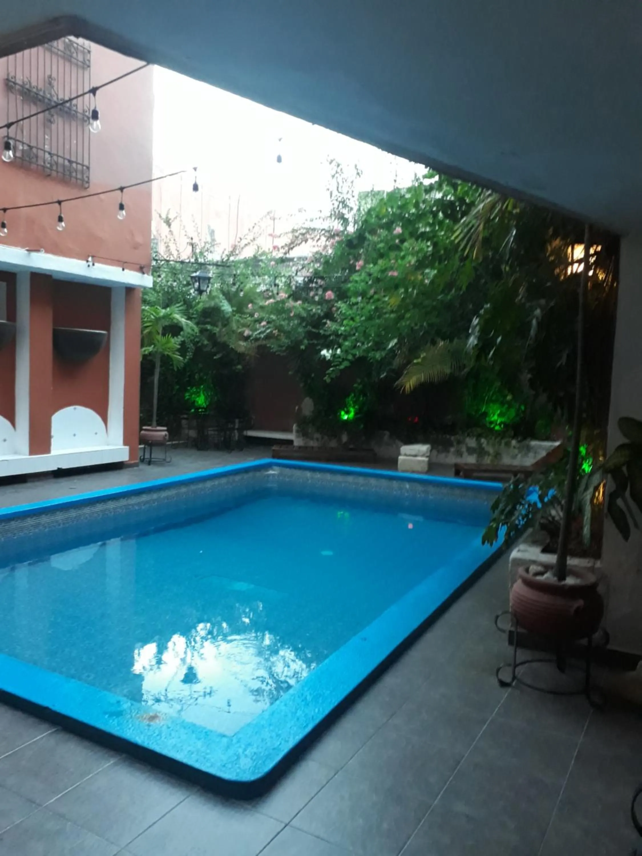 Swimming pool in Hotel Reforma