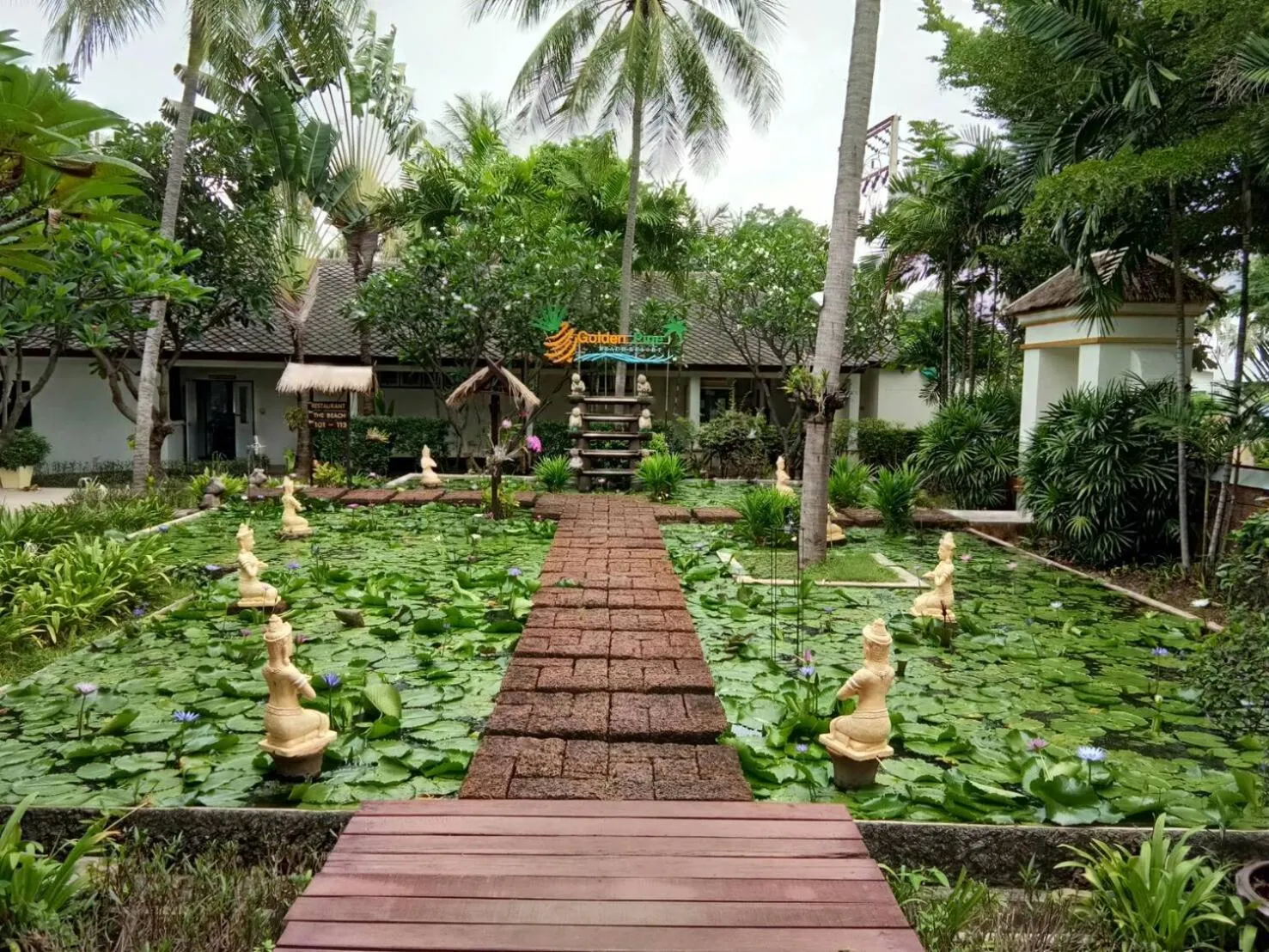 Natural landscape in Golden Pine Beach Resort