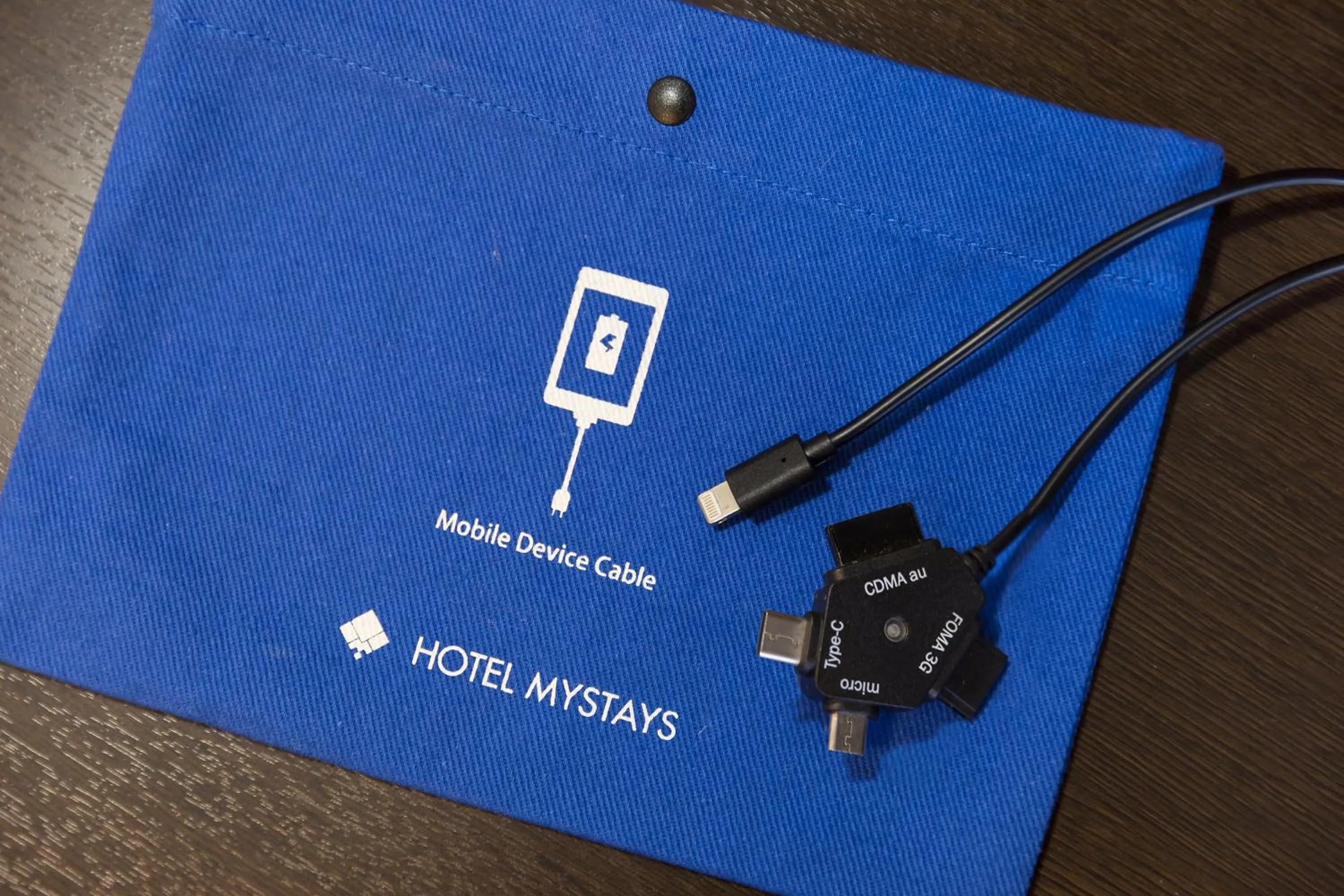 Other in HOTEL MYSTAYS Kyoto Shijo