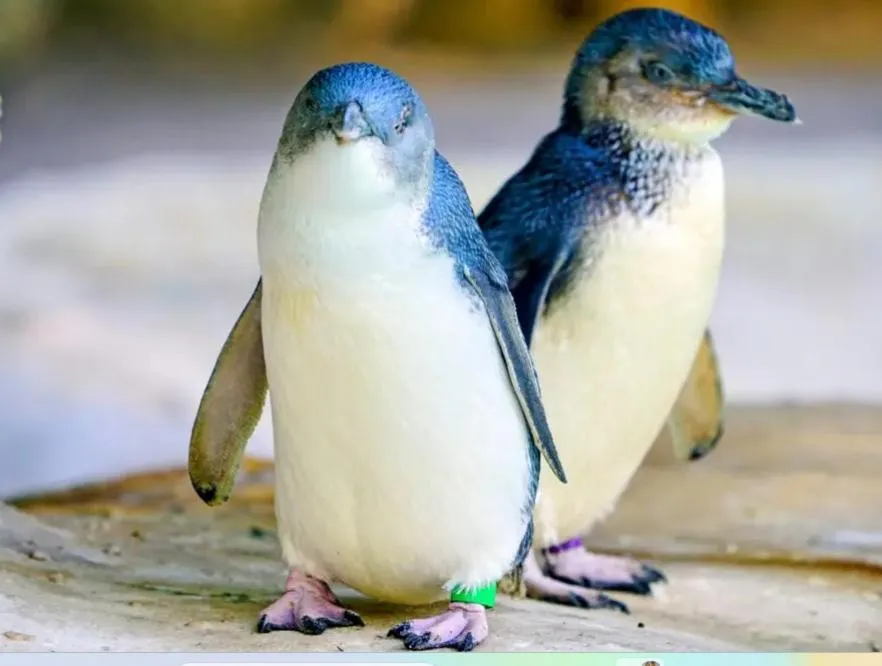 Off site in Little Red School House