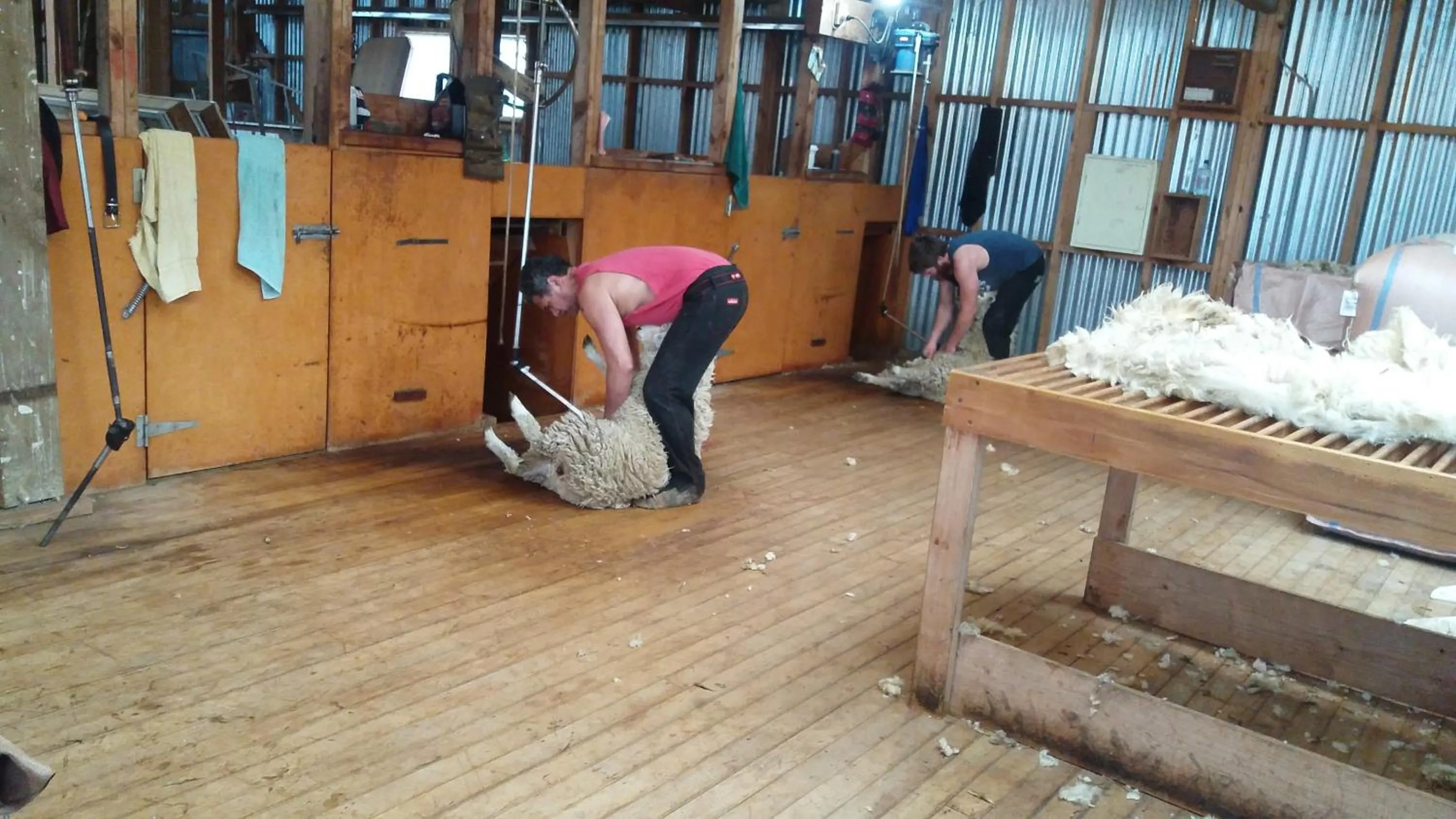 Activities in Little Red School House