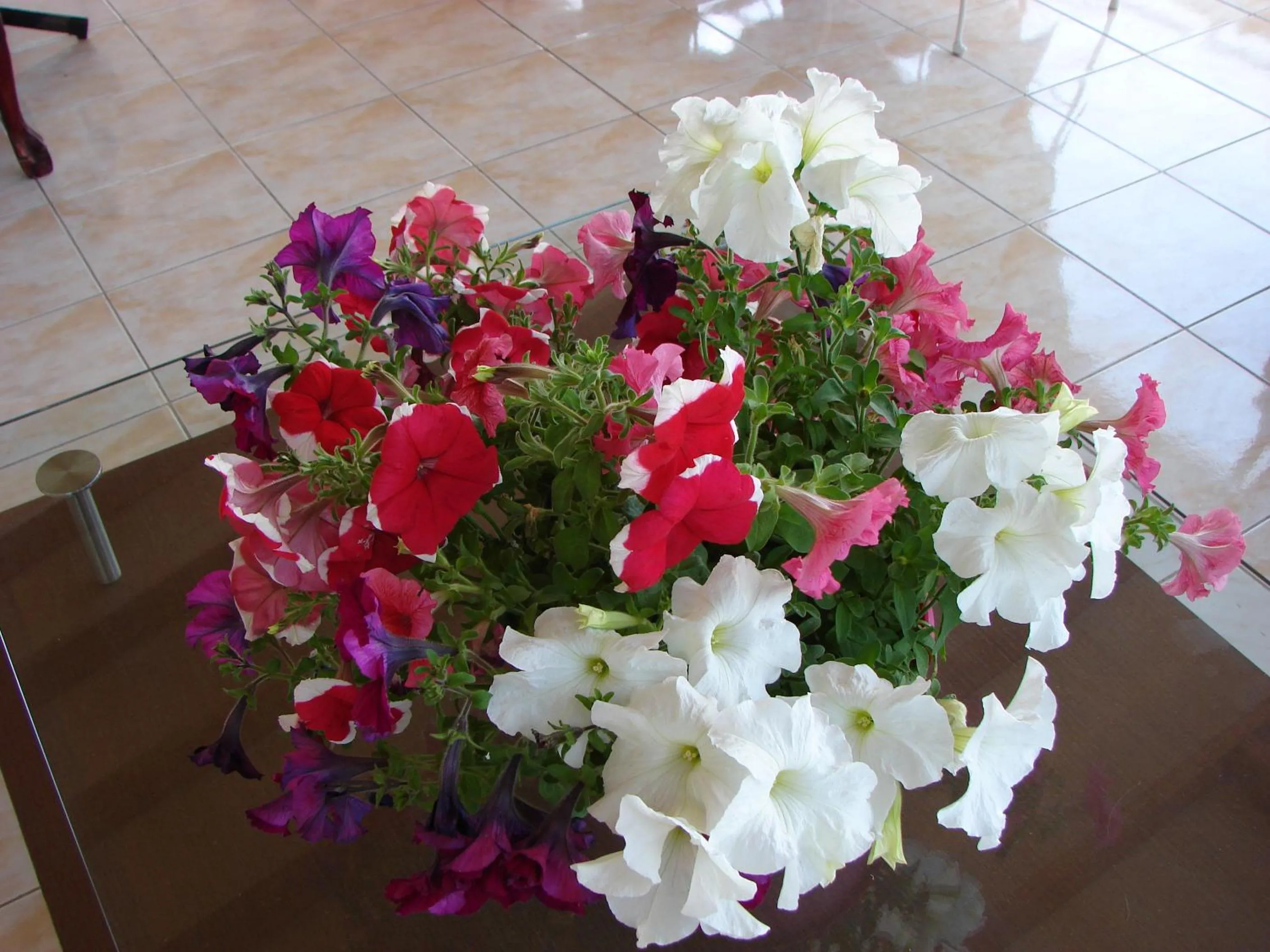 Decorative detail in Petit Palais Hotel