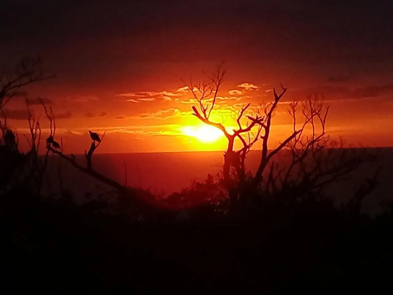 View (from property/room) in Wailana lodge
