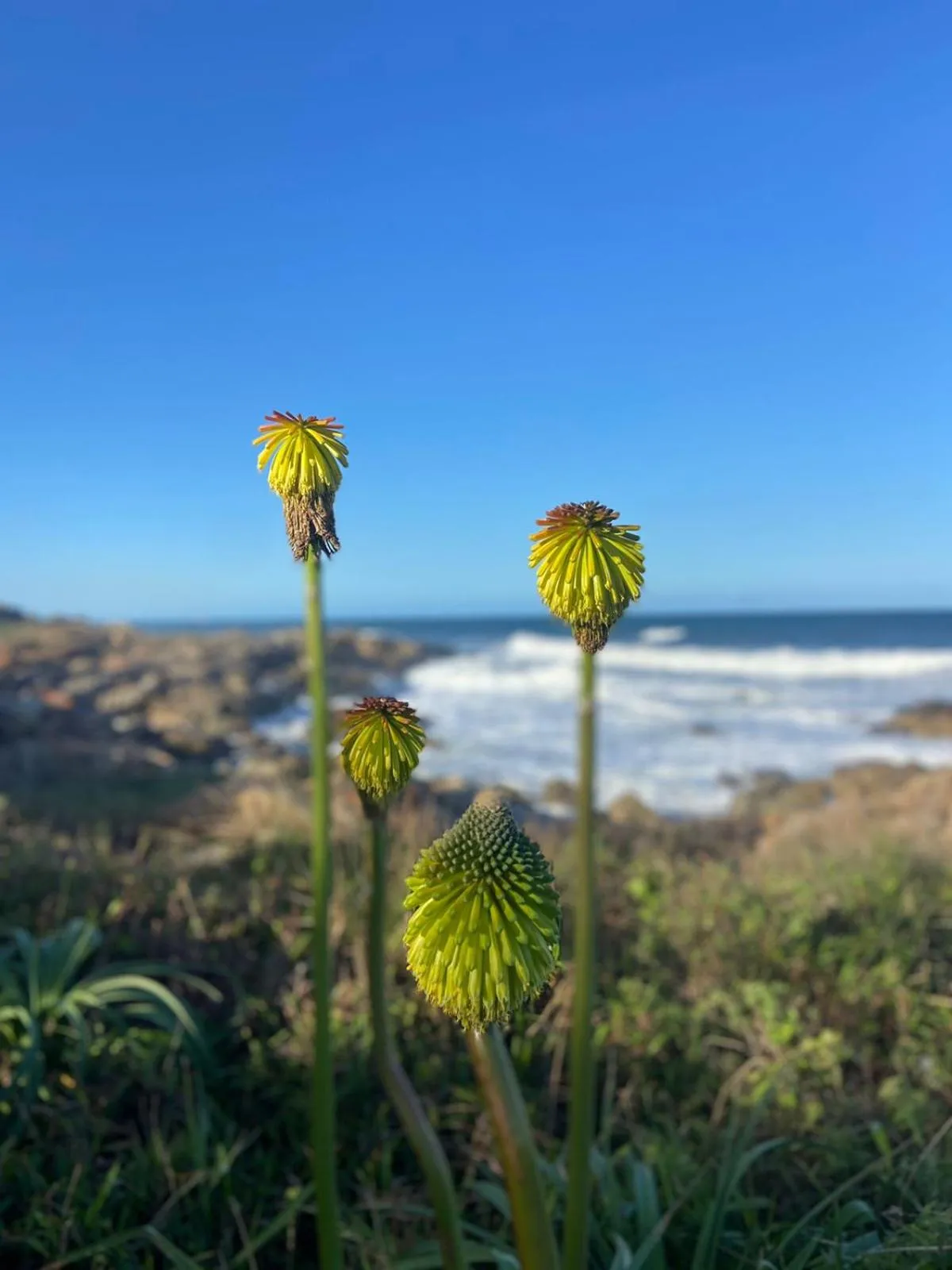 Beach in Wailana lodge
