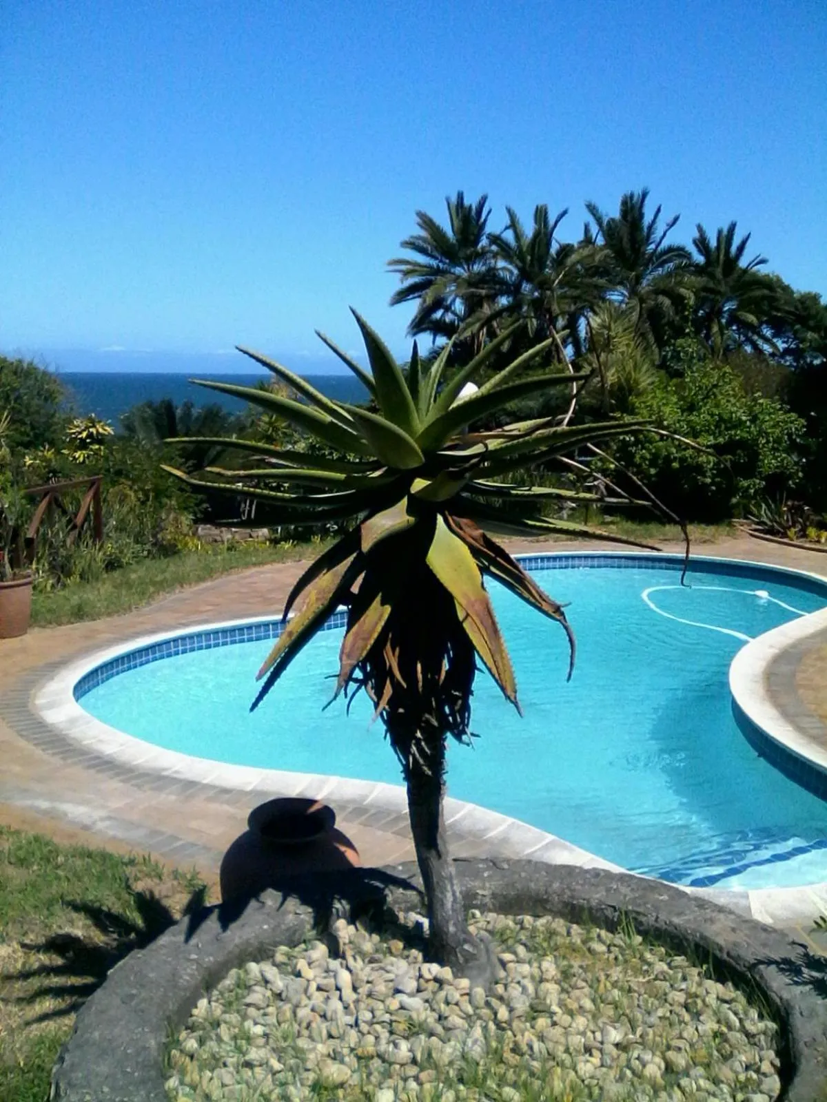 Swimming pool in Wailana lodge