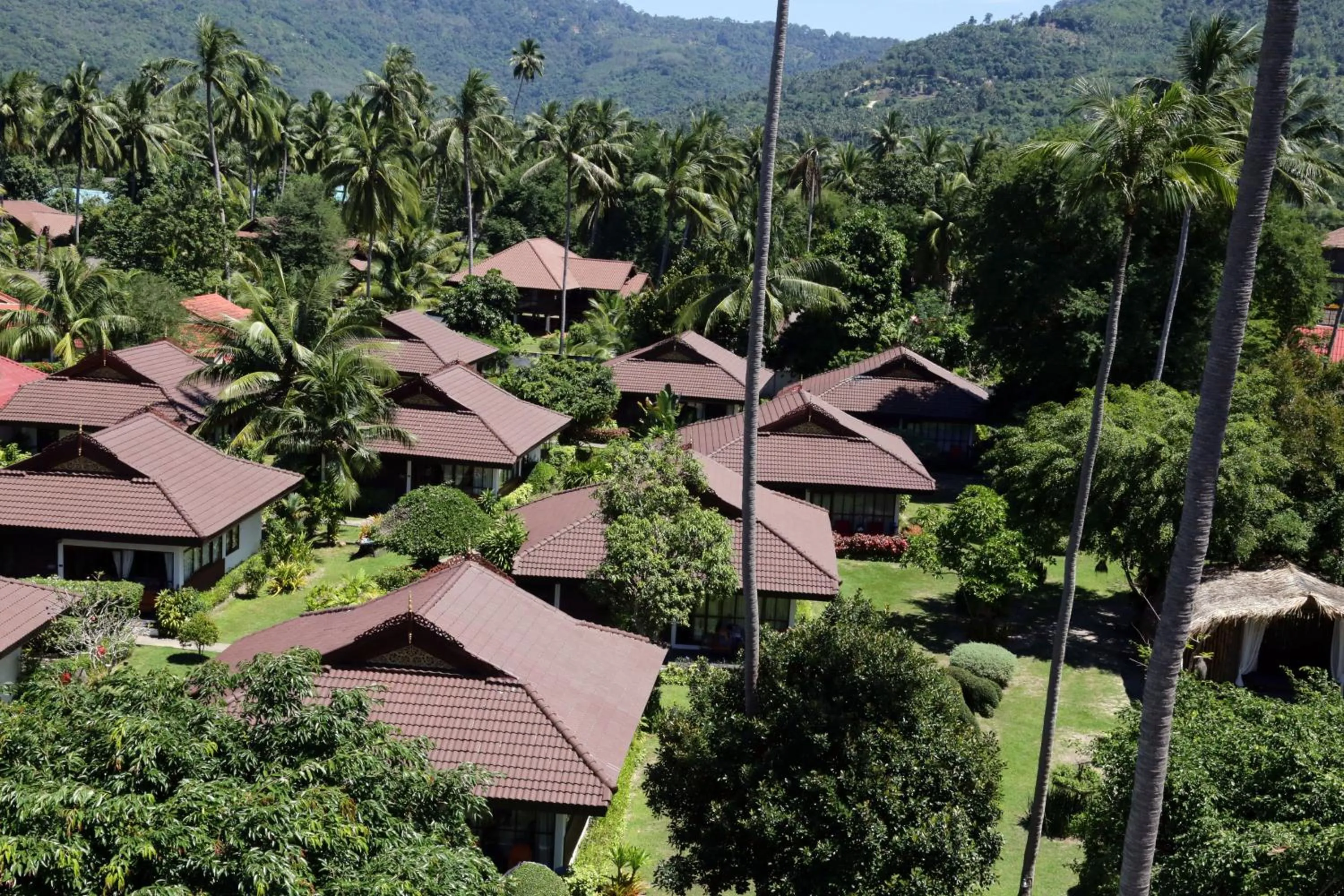 Day in Viva Vacation Resort