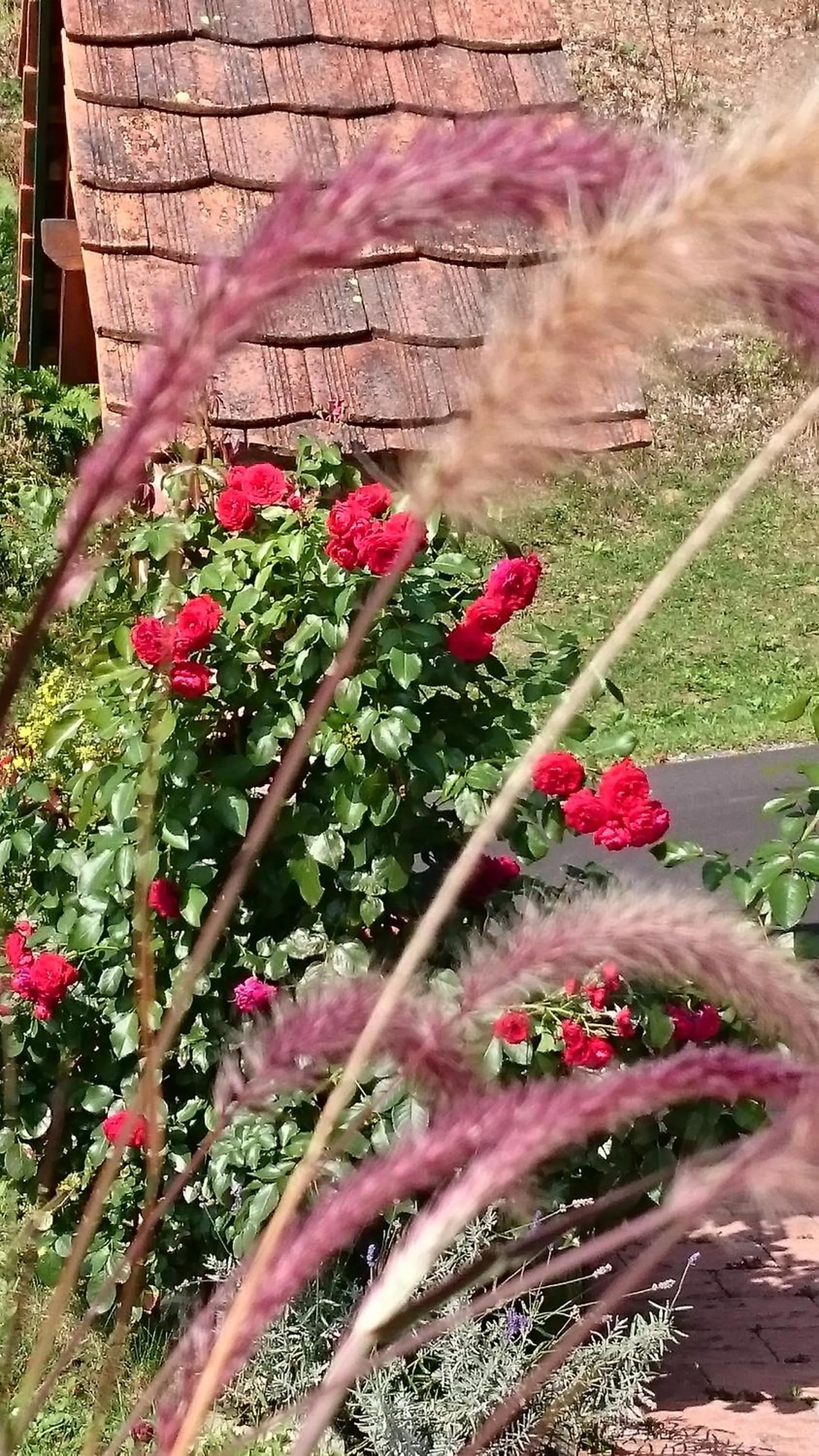 Balcony/Terrace in Gmiatliche Stubm