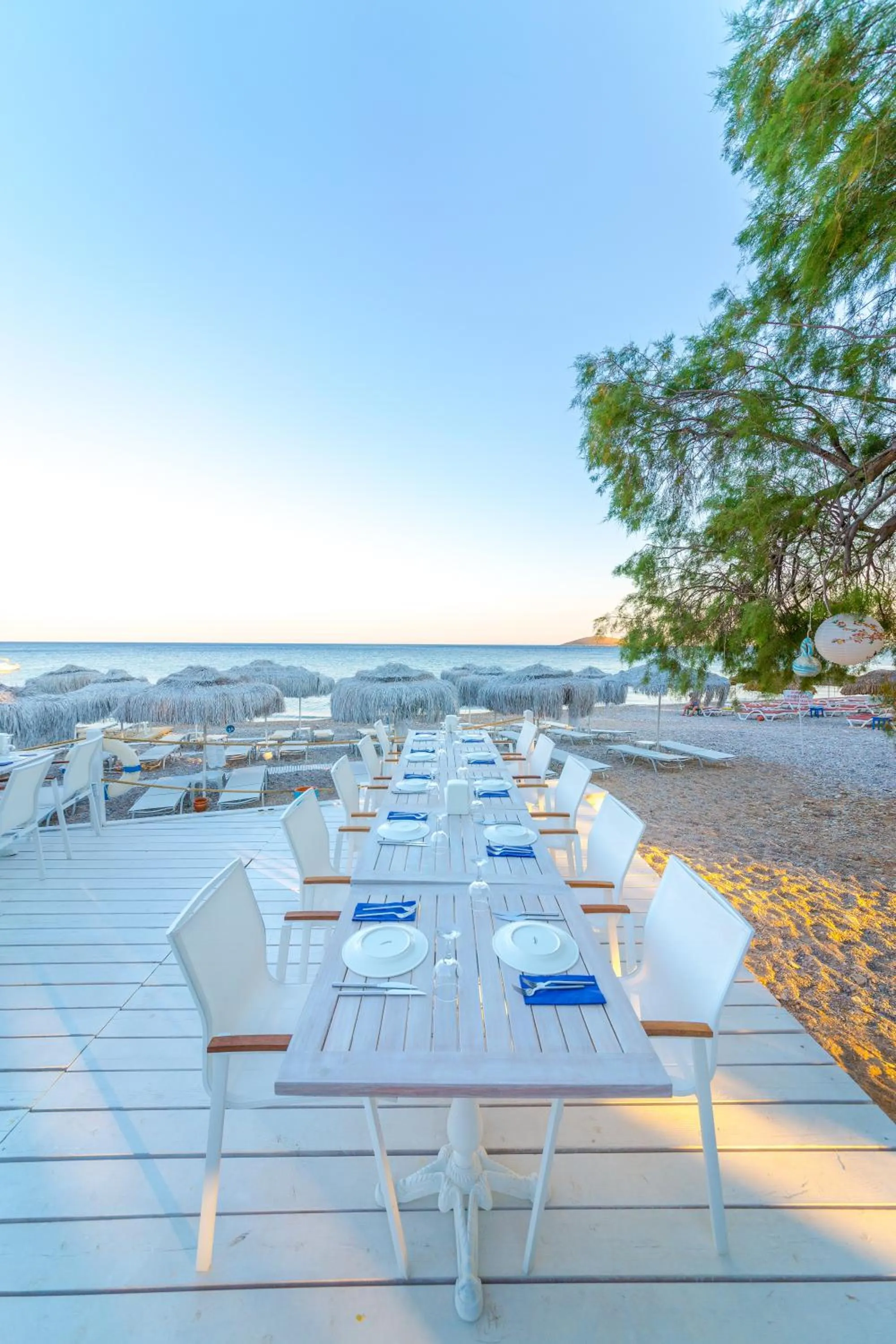 Restaurant/places to eat in Hotel Mavi Beyaz