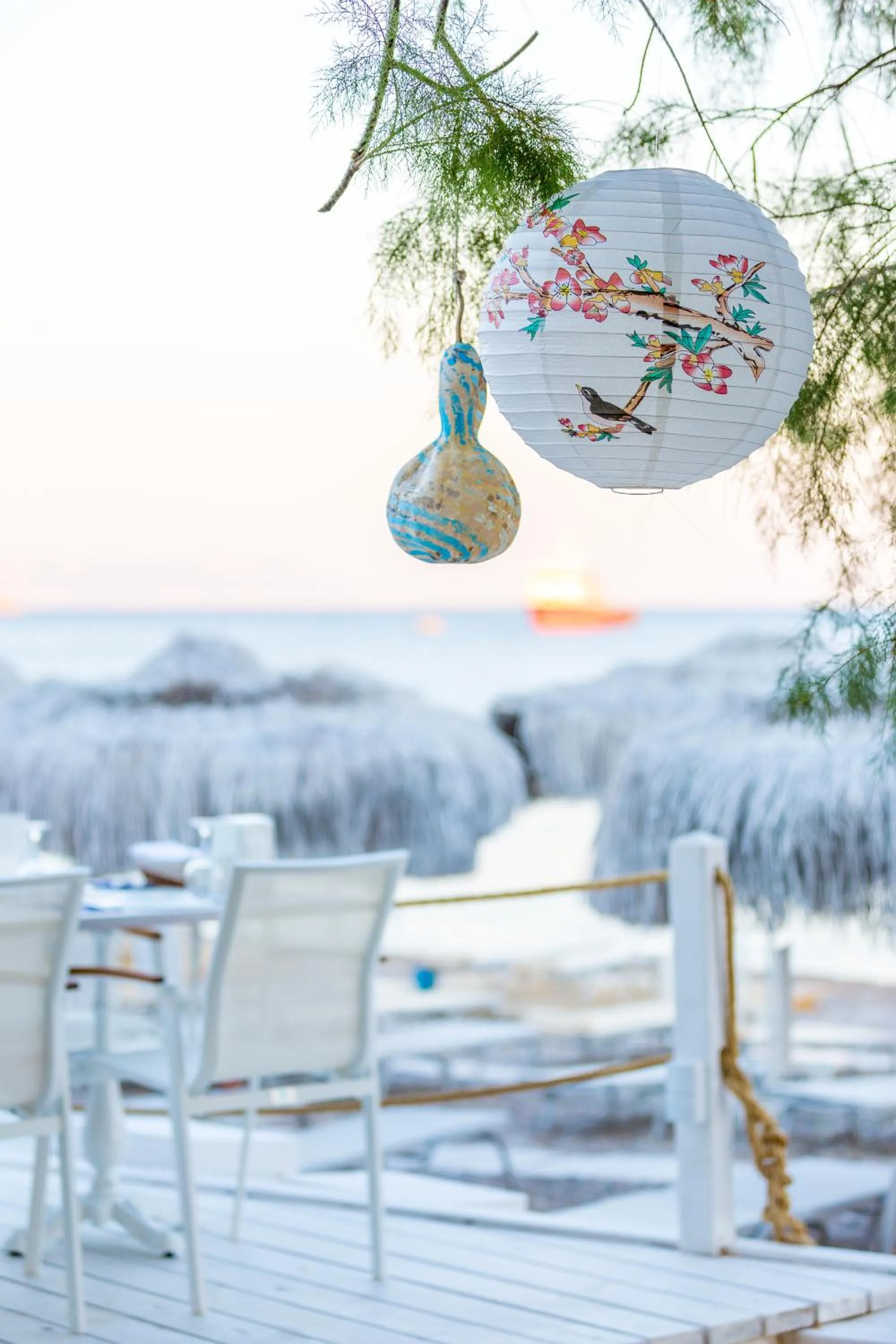 Restaurant/places to eat, Winter in Hotel Mavi Beyaz