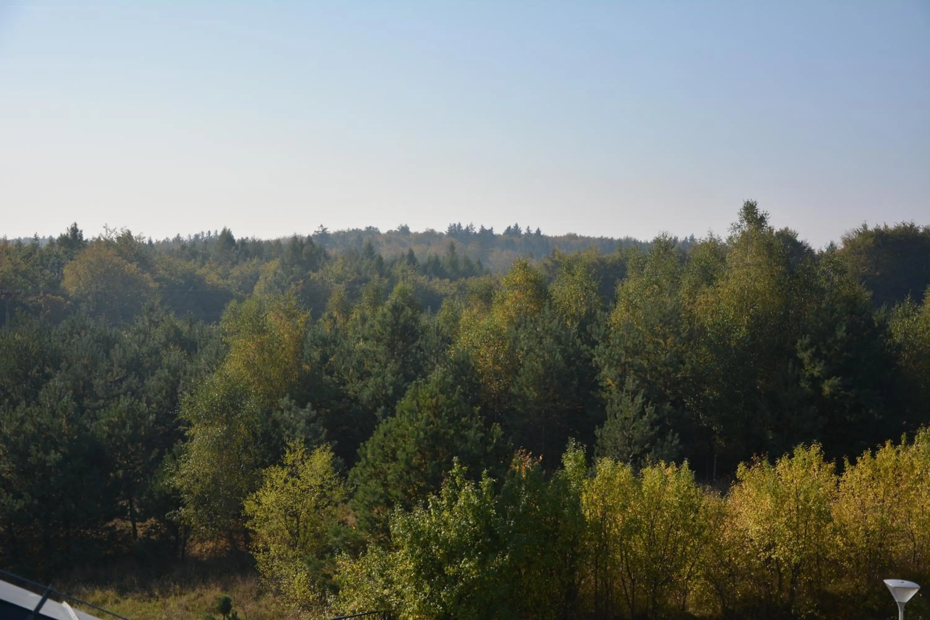 Area and facilities in Bazuny Hotel&Spa