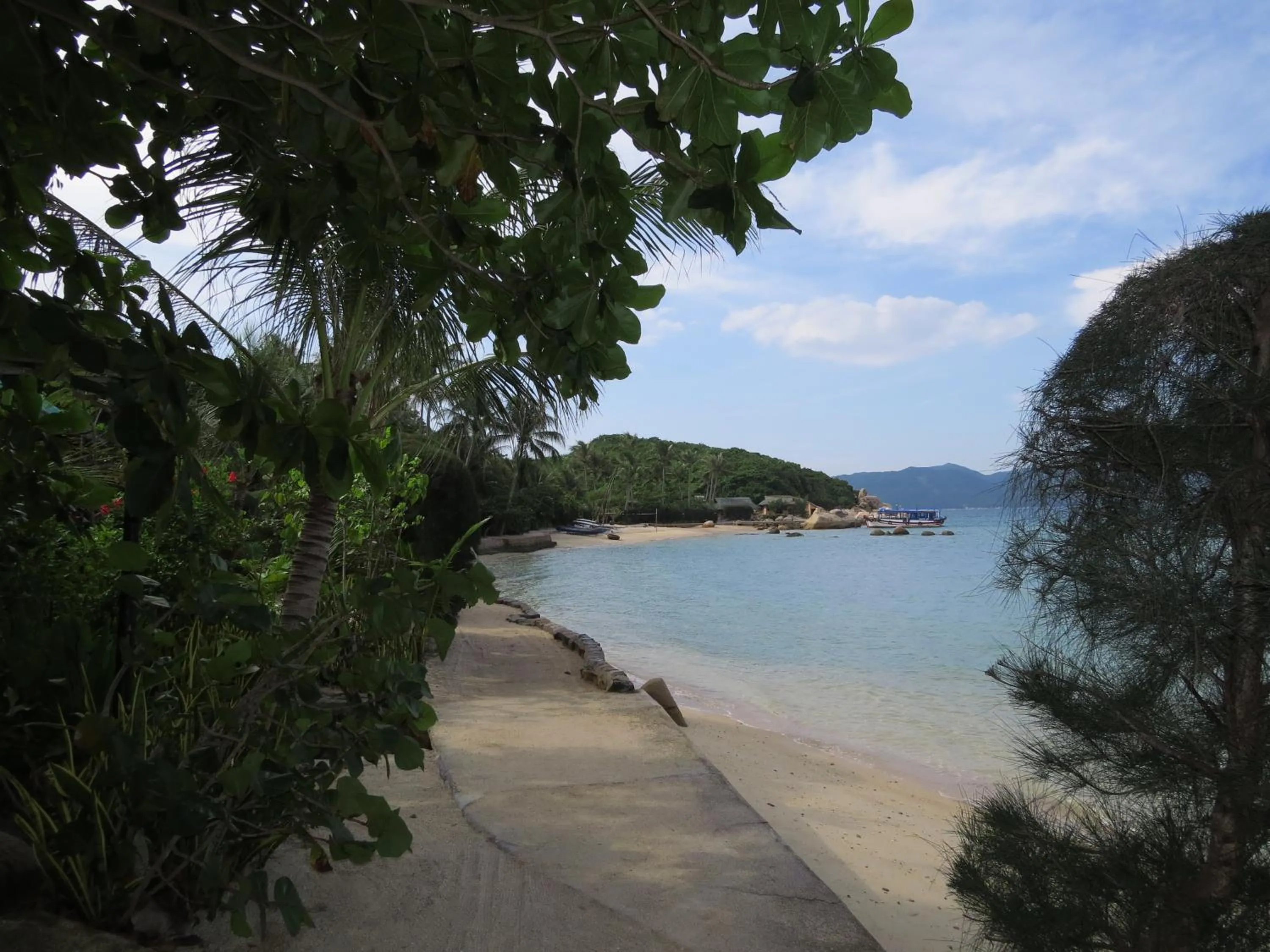 Day in Whale Island Resort