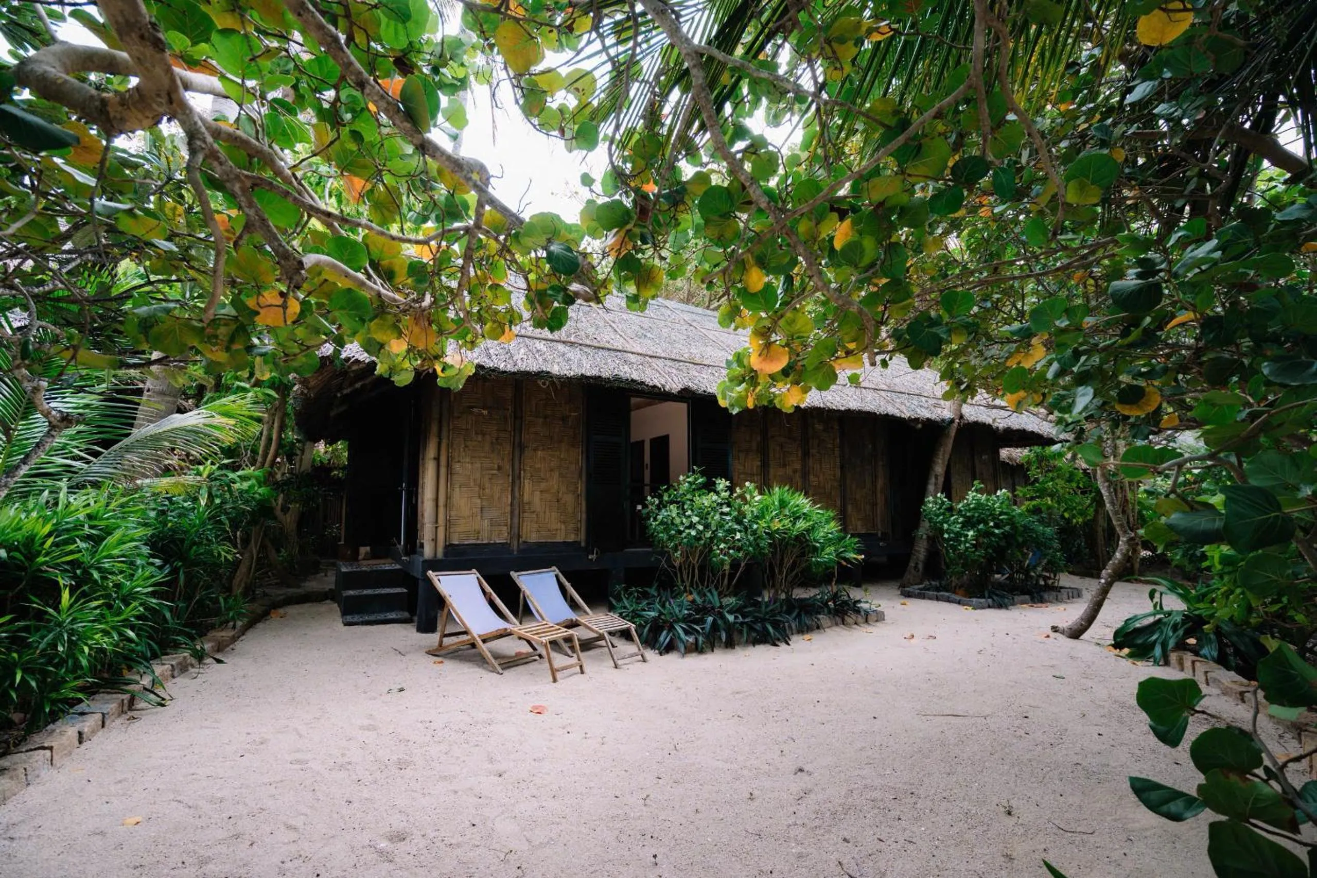 Garden in Whale Island Resort