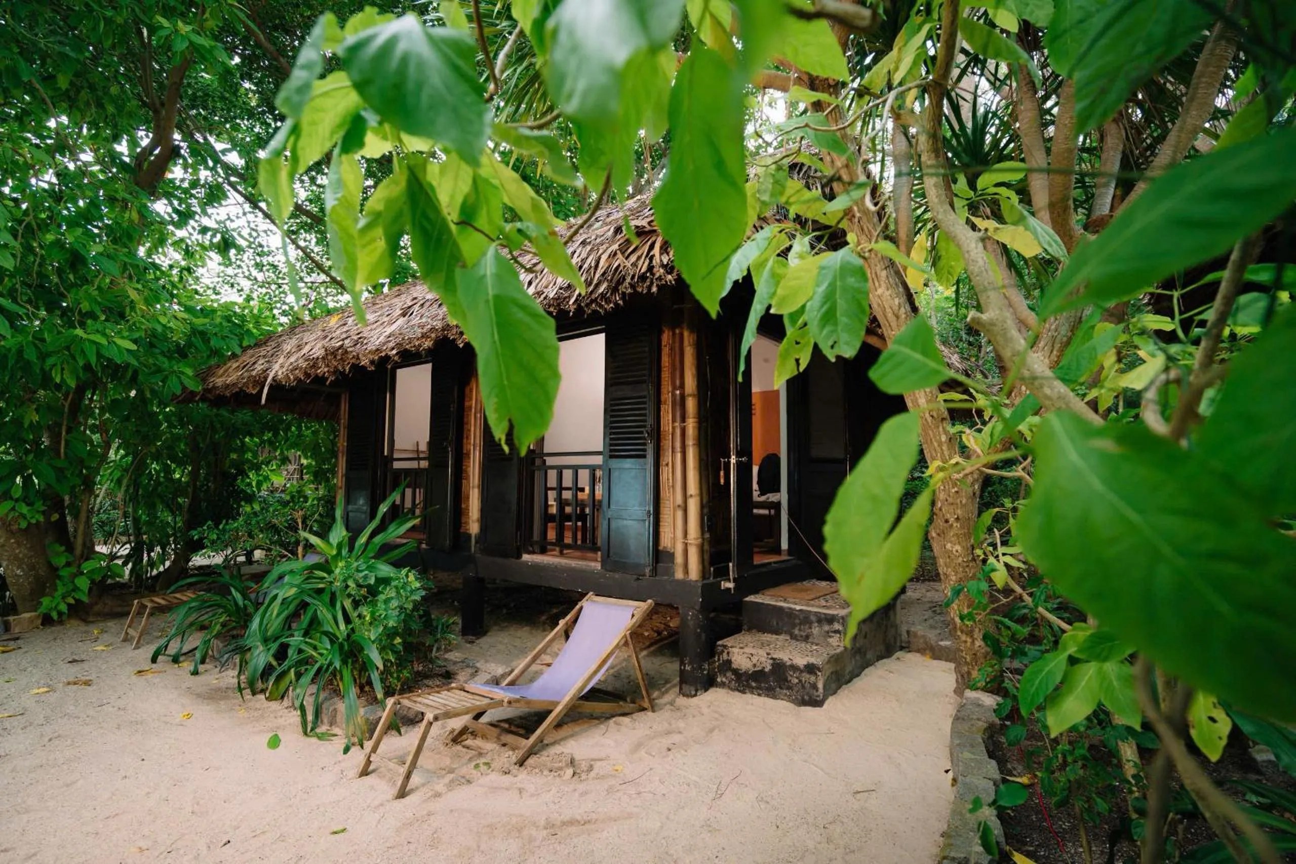 Day in Whale Island Resort