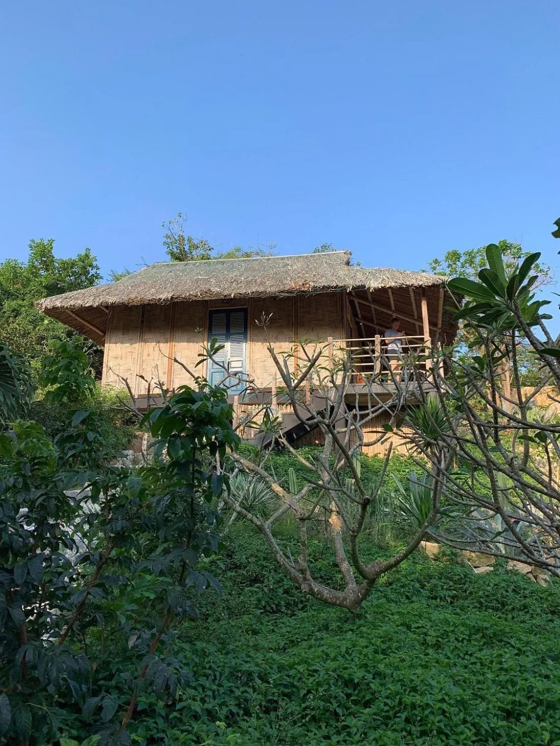Garden in Whale Island Resort