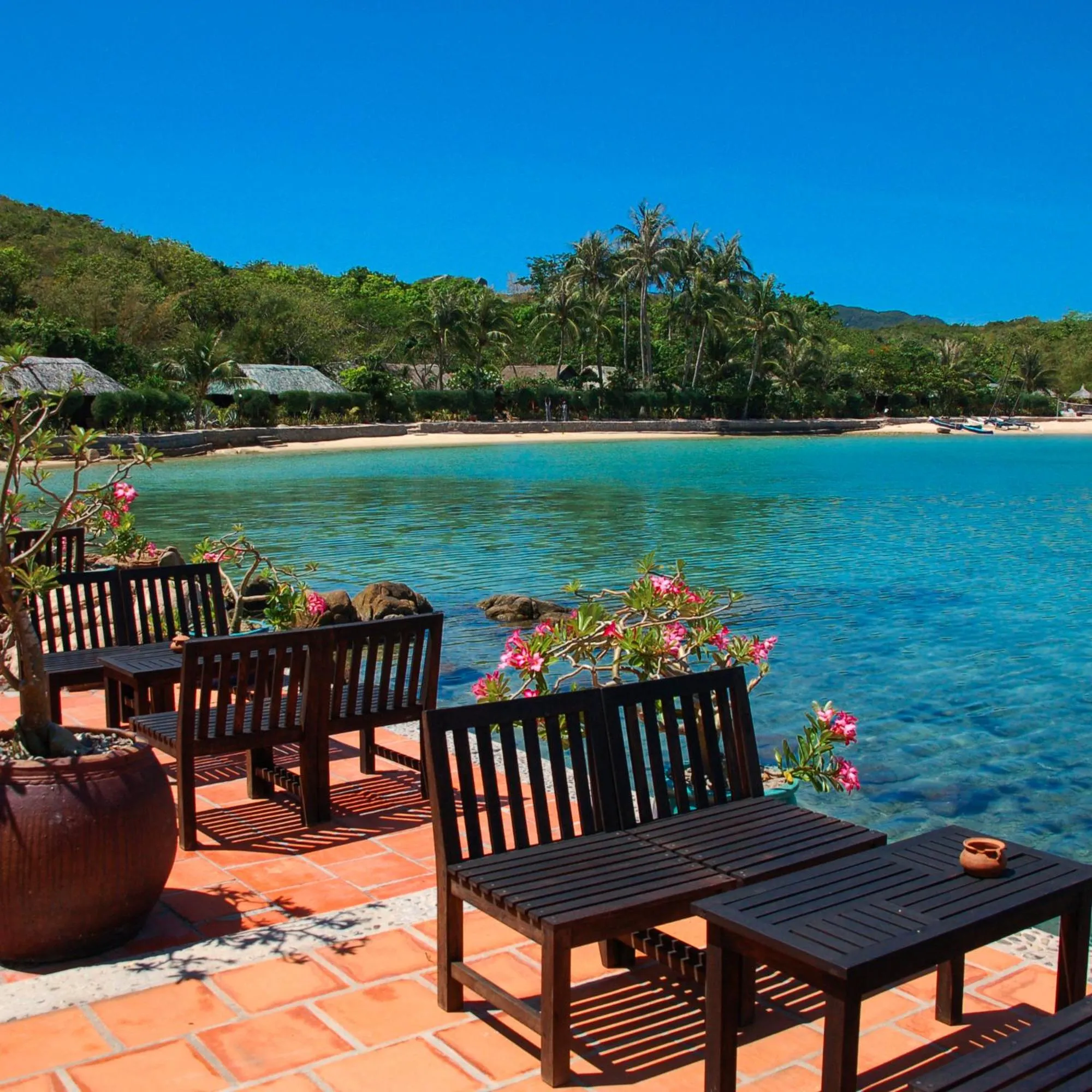 Restaurant/places to eat in Whale Island Resort