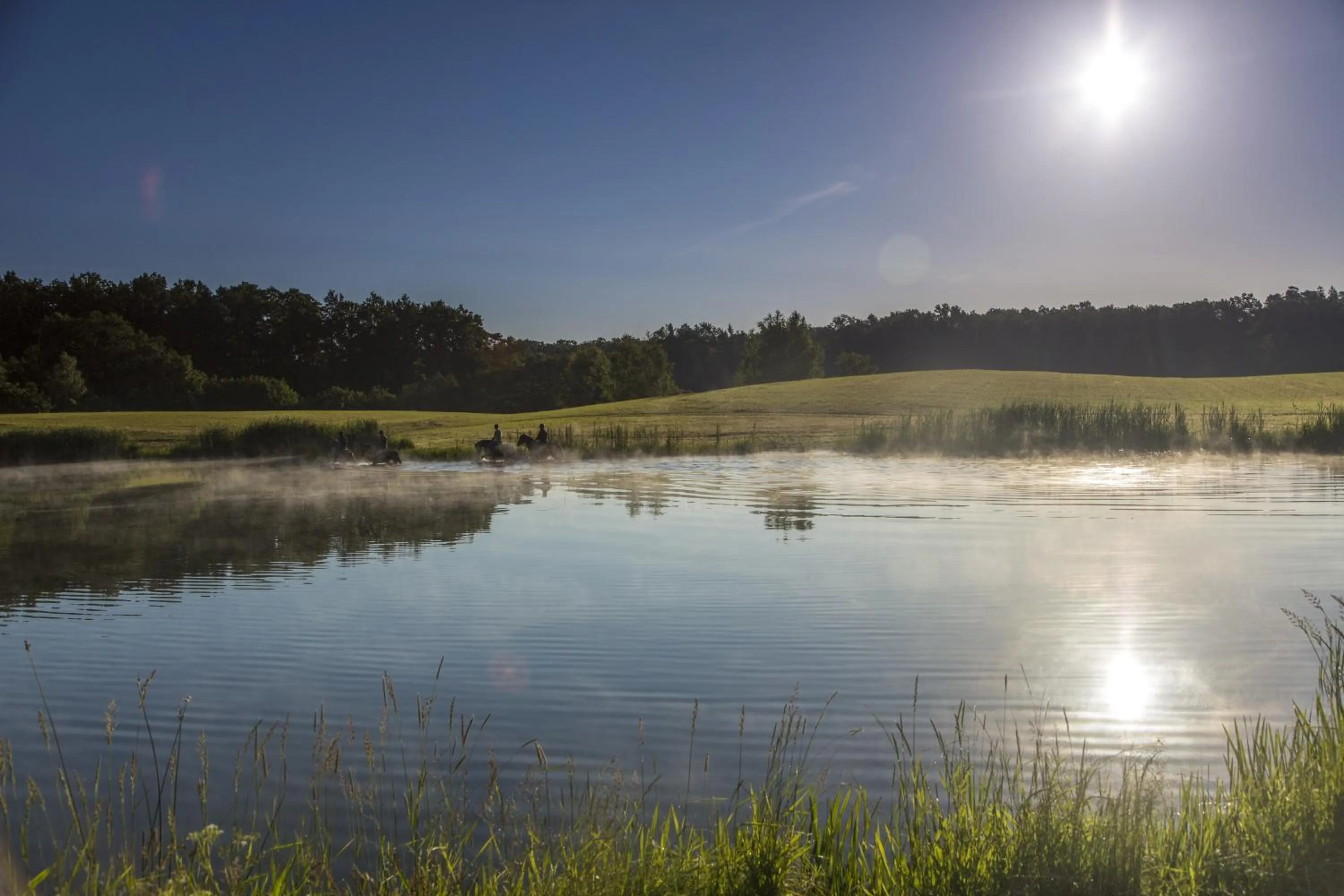 Beach in Pałac Galiny