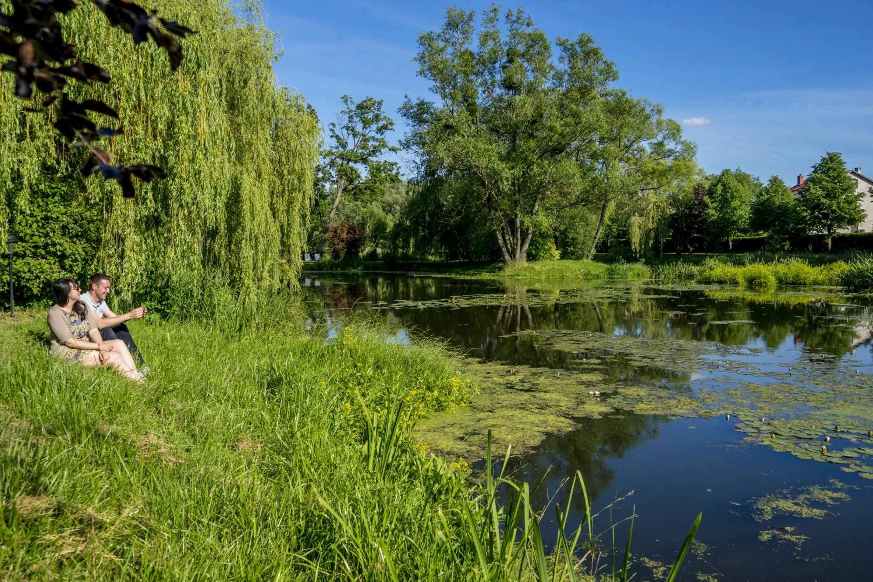 Garden in Pałac Galiny