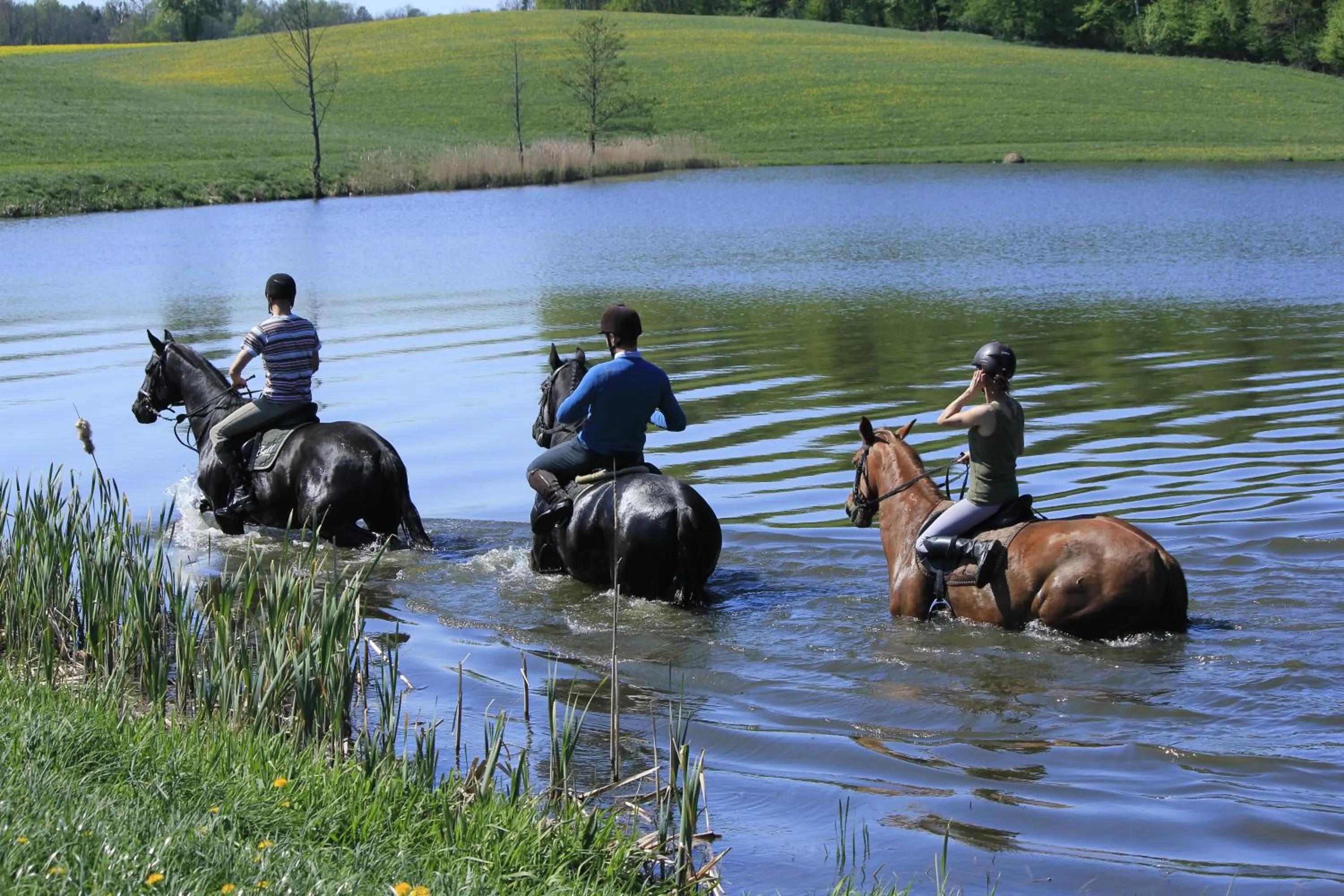 Horse-riding in Pałac Galiny
